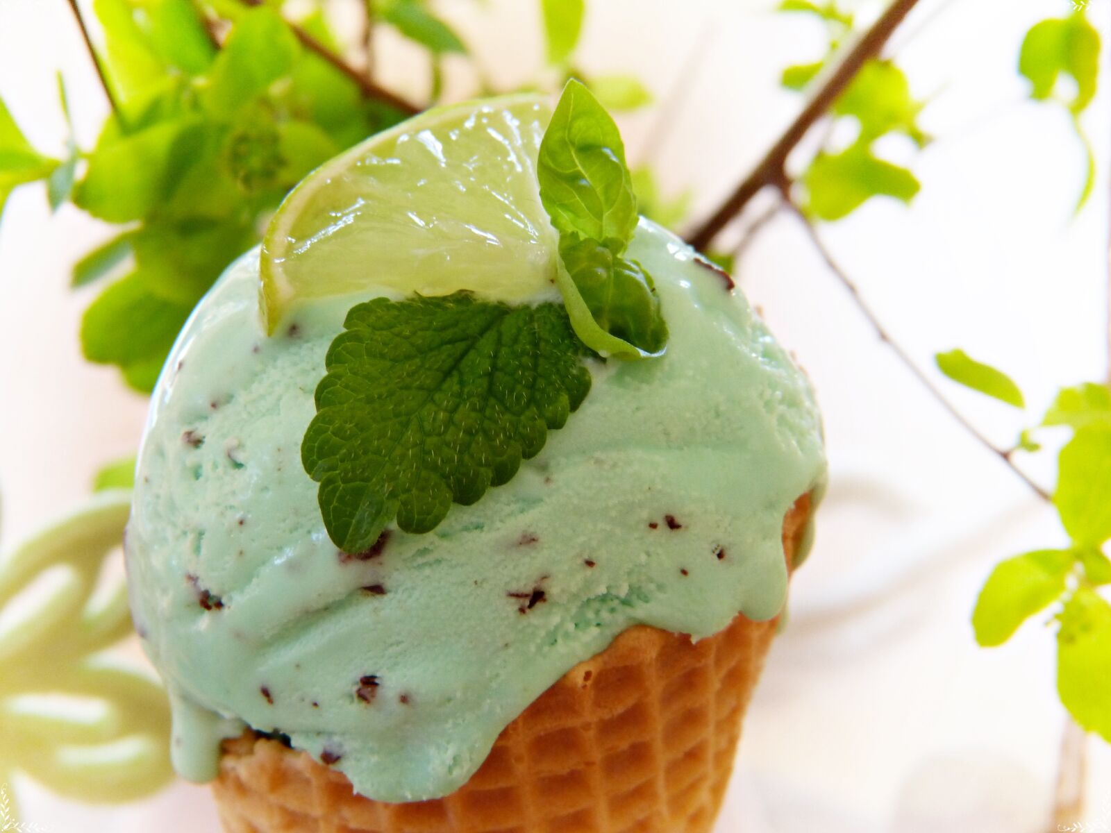 Panasonic Lumix DMC-FZ150 sample photo. Ice cream, ice, ice photography