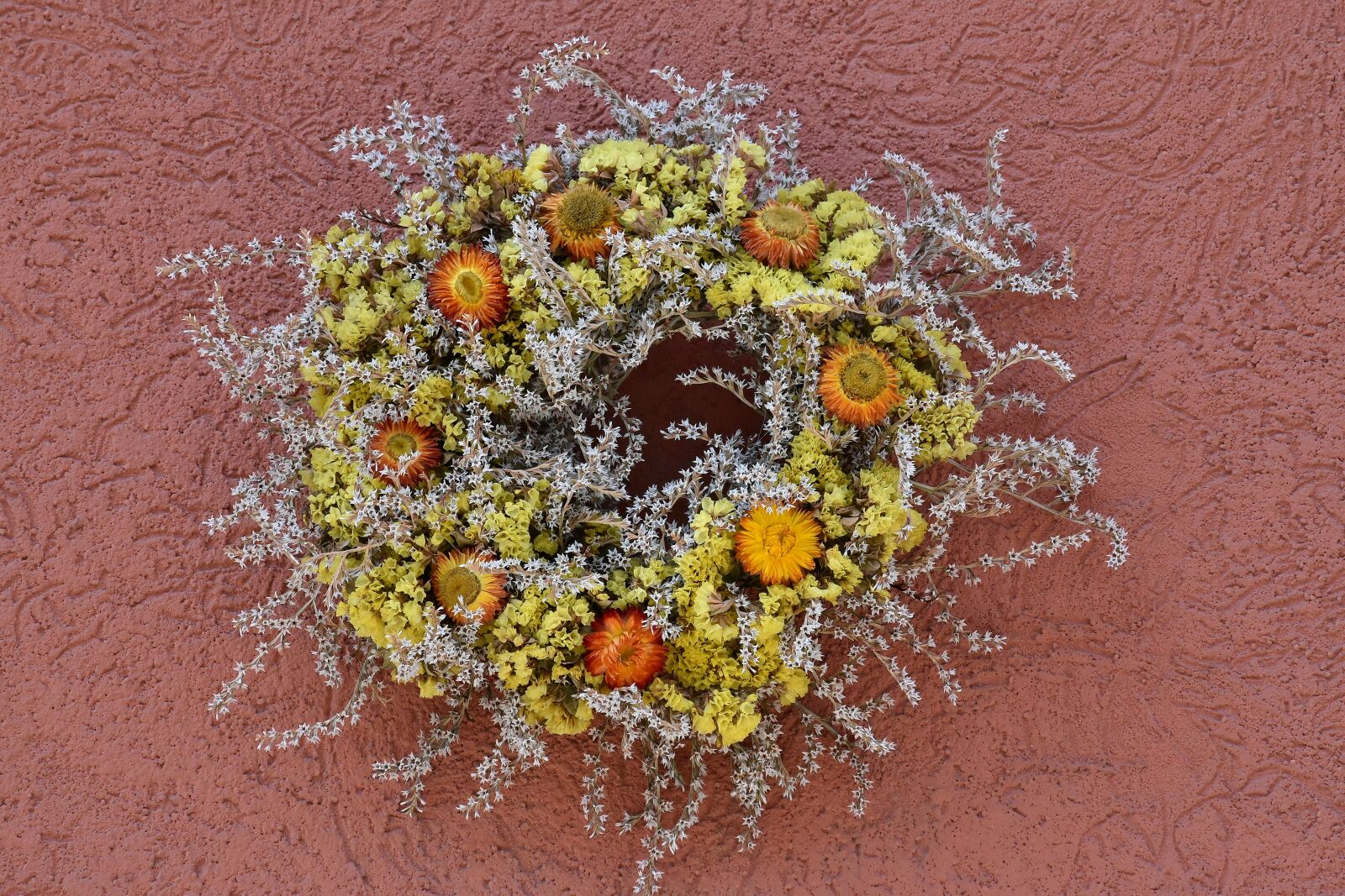 Nikon D5500 sample photo. Circle, decorative, dry, flowers photography