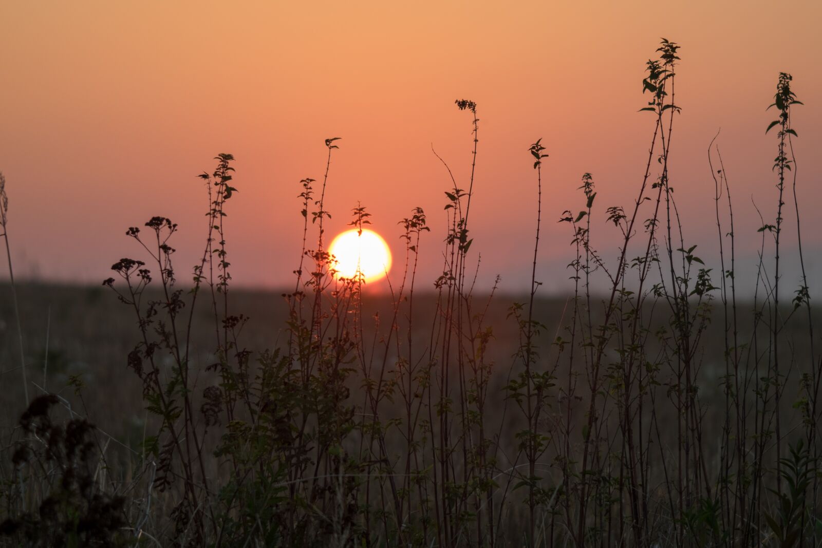 Fujifilm X-T10 sample photo. East, the sun, sky photography