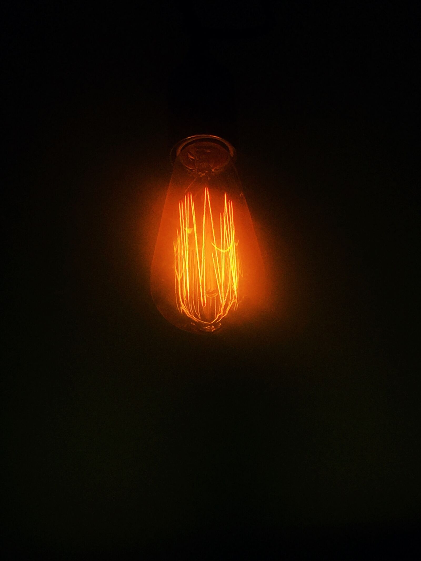 Apple iPhone 6 sample photo. Bulb, light photography
