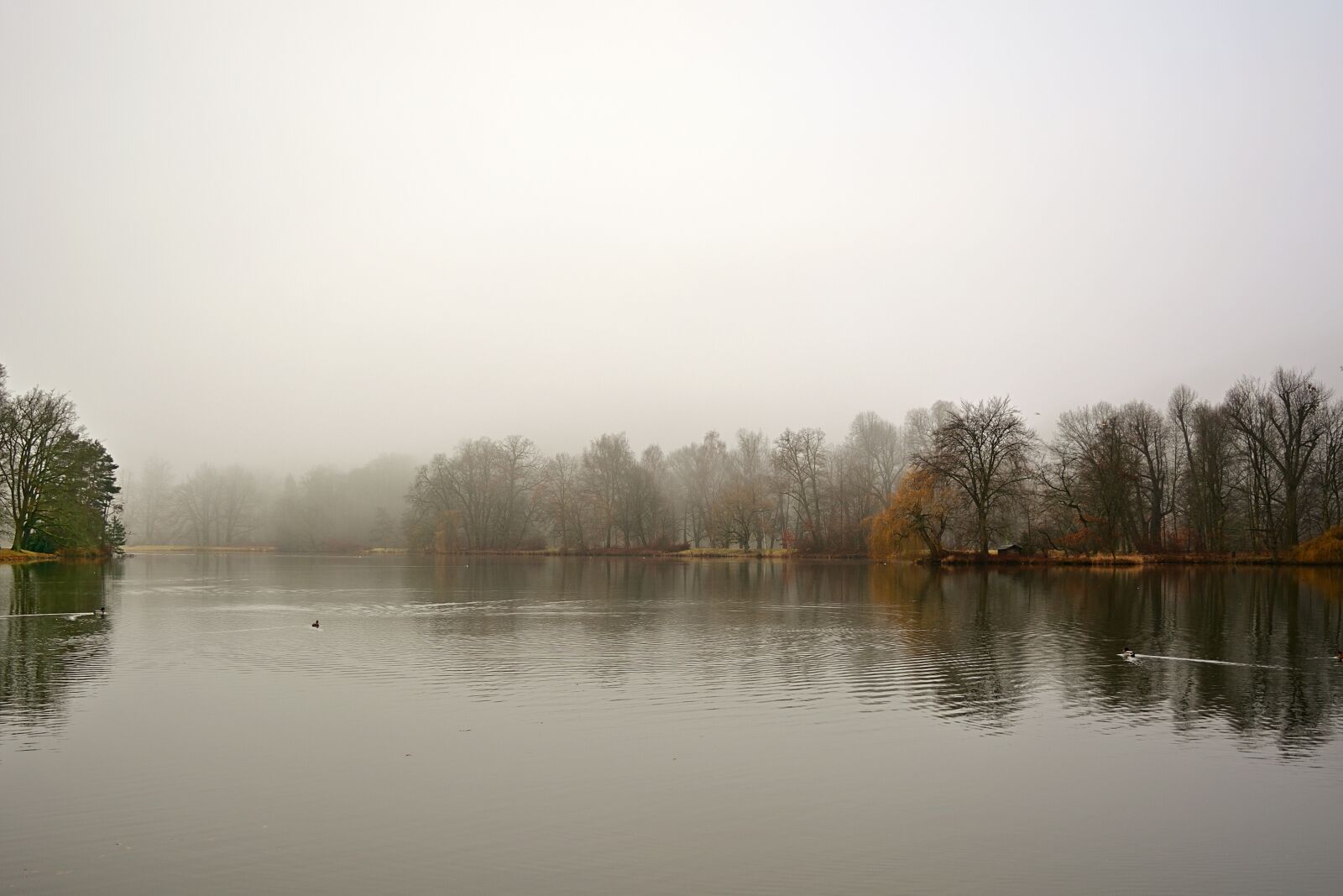 Nikon D5200 sample photo. Nature, park, lake photography