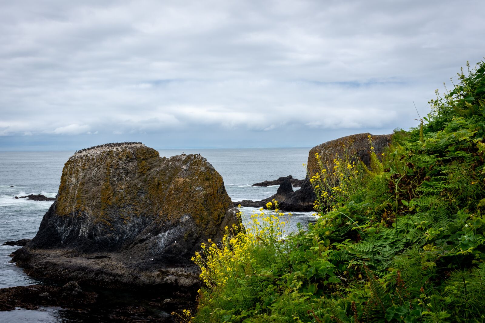 Nikon D7200 sample photo. Beach, nature, ocean photography