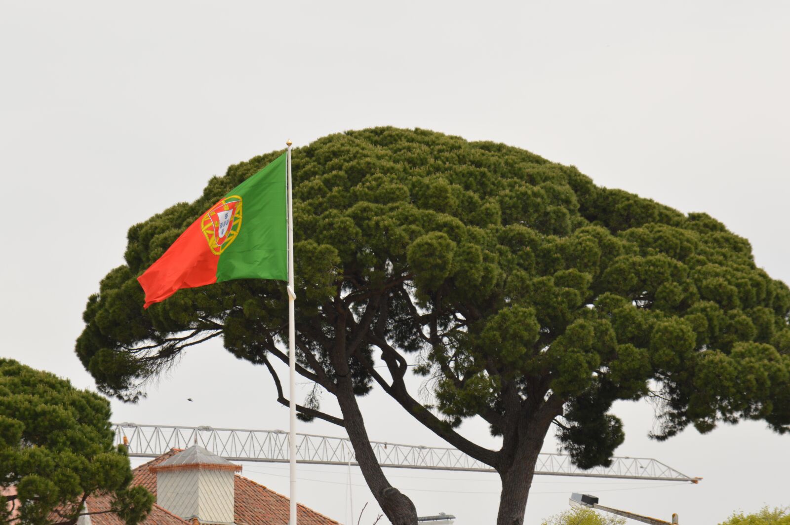 Nikon D3200 sample photo. Portugal, flag, national photography