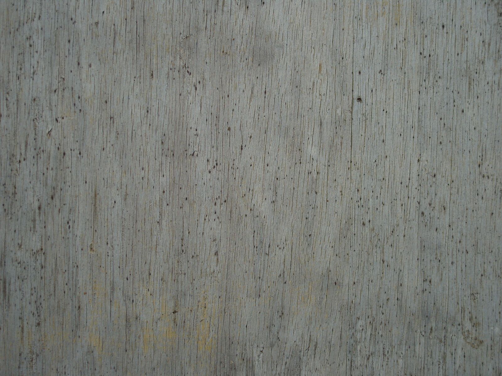 Samsung KENOX S1050  / Samsung S1050 sample photo. Wood, moldy, rot photography
