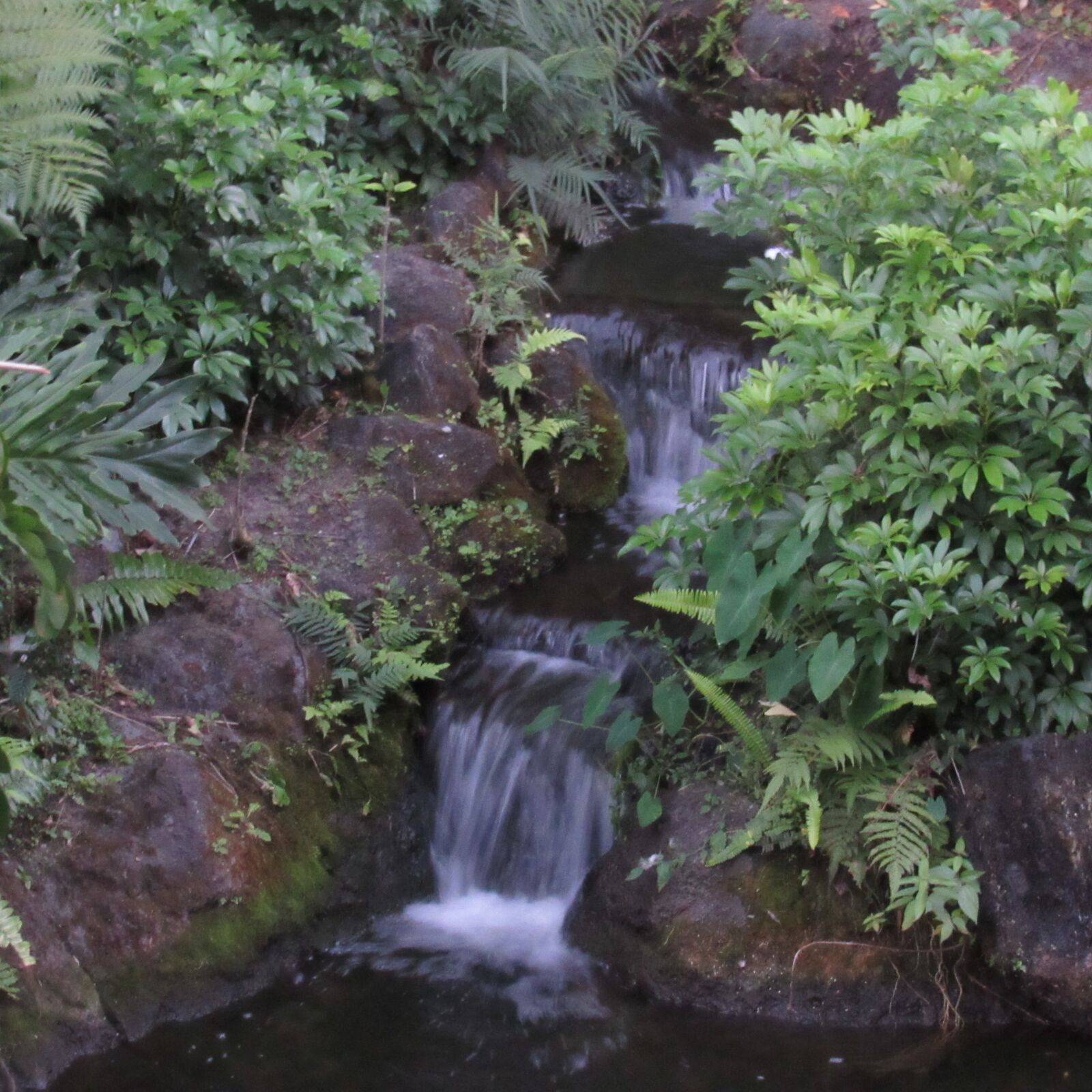 Canon PowerShot SX530 HS sample photo. Waterfall, plants, landscape photography