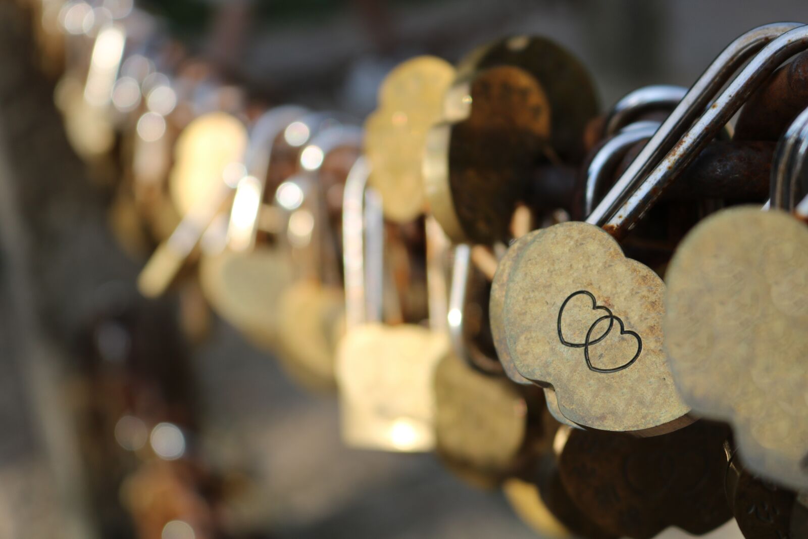 Canon EOS 750D (EOS Rebel T6i / EOS Kiss X8i) sample photo. Love, heart, romance photography