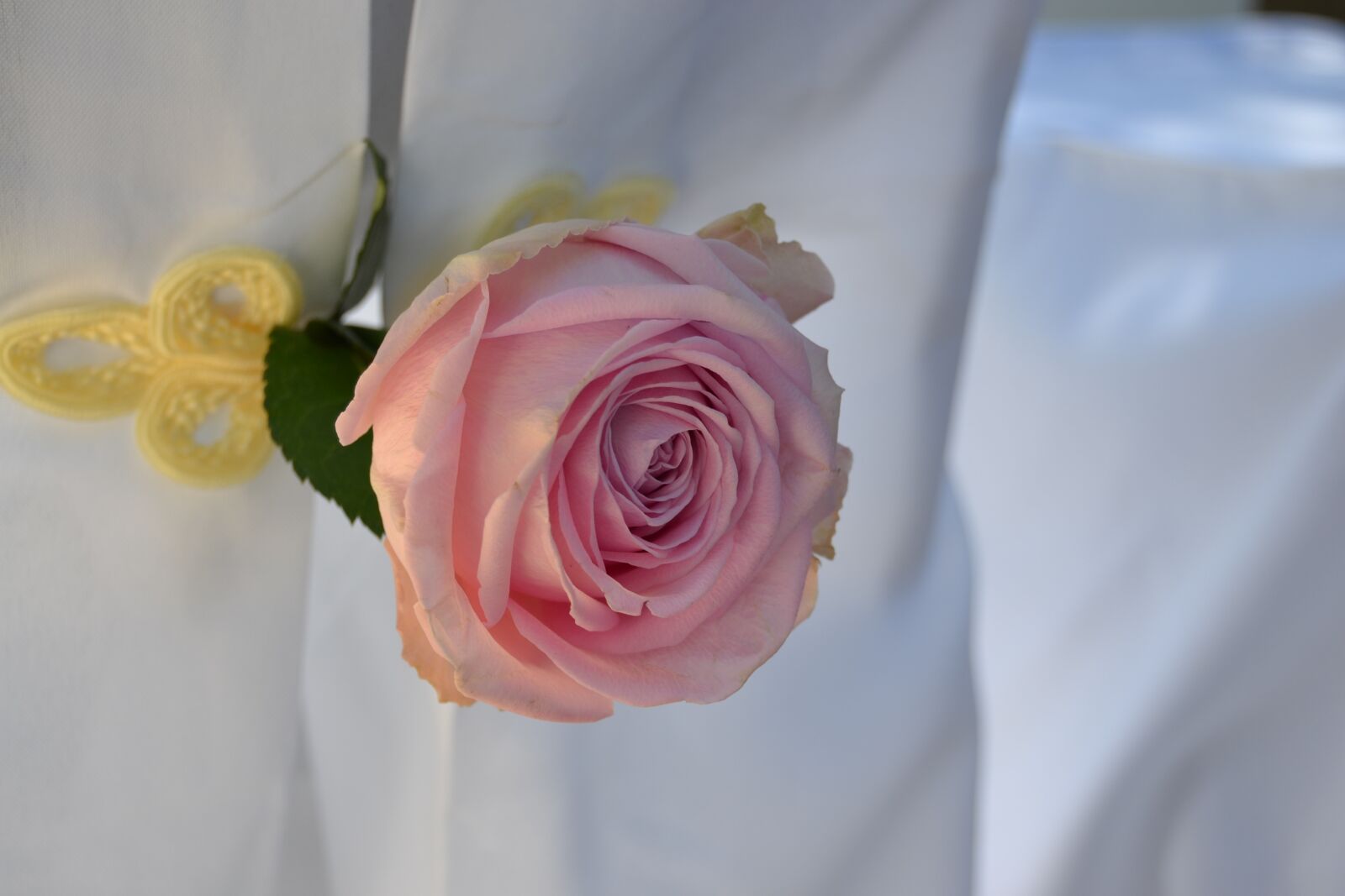 Nikon D3100 sample photo. Rose, wedding, celebration photography