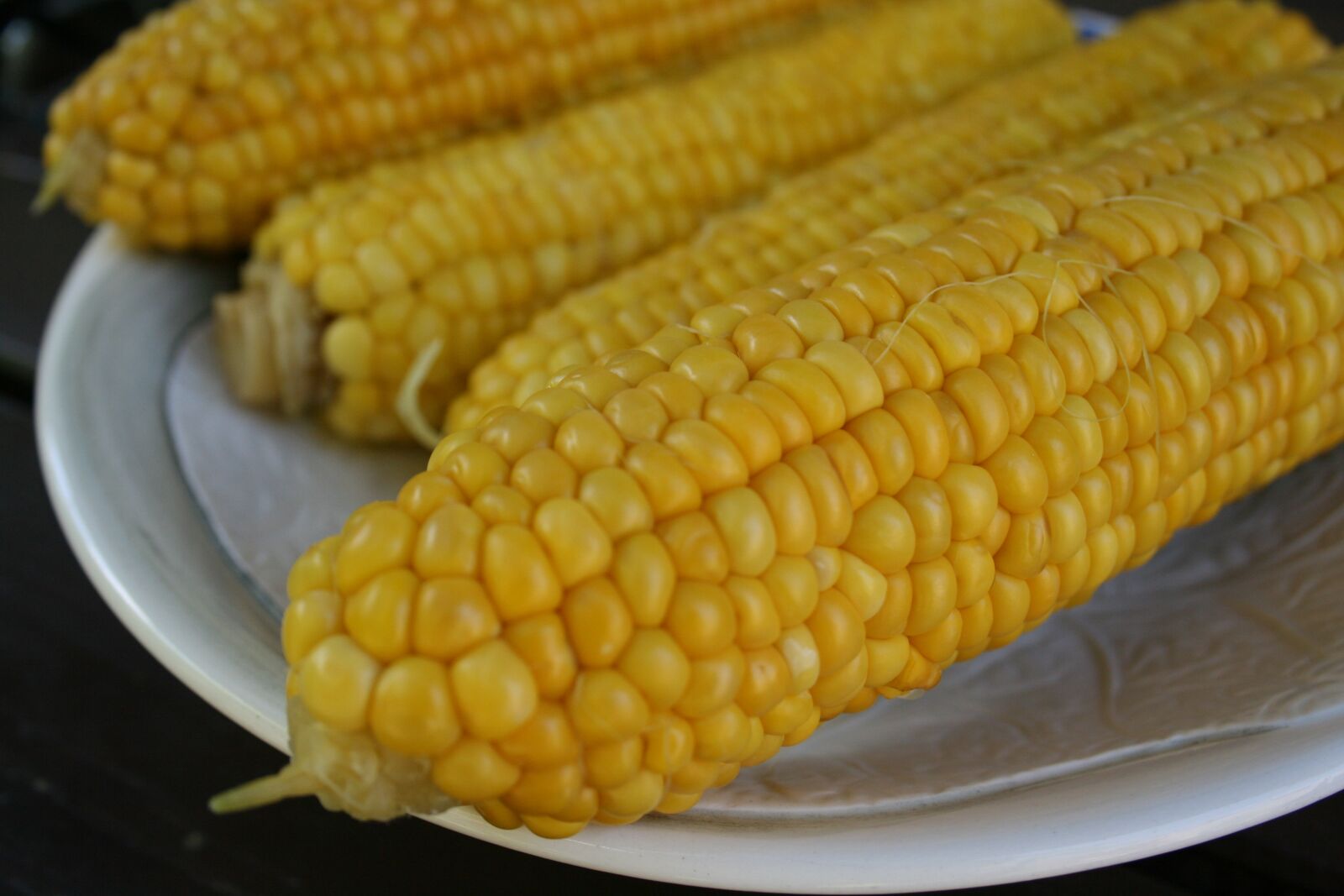 Canon EOS 400D (EOS Digital Rebel XTi / EOS Kiss Digital X) sample photo. Corn on the cob photography