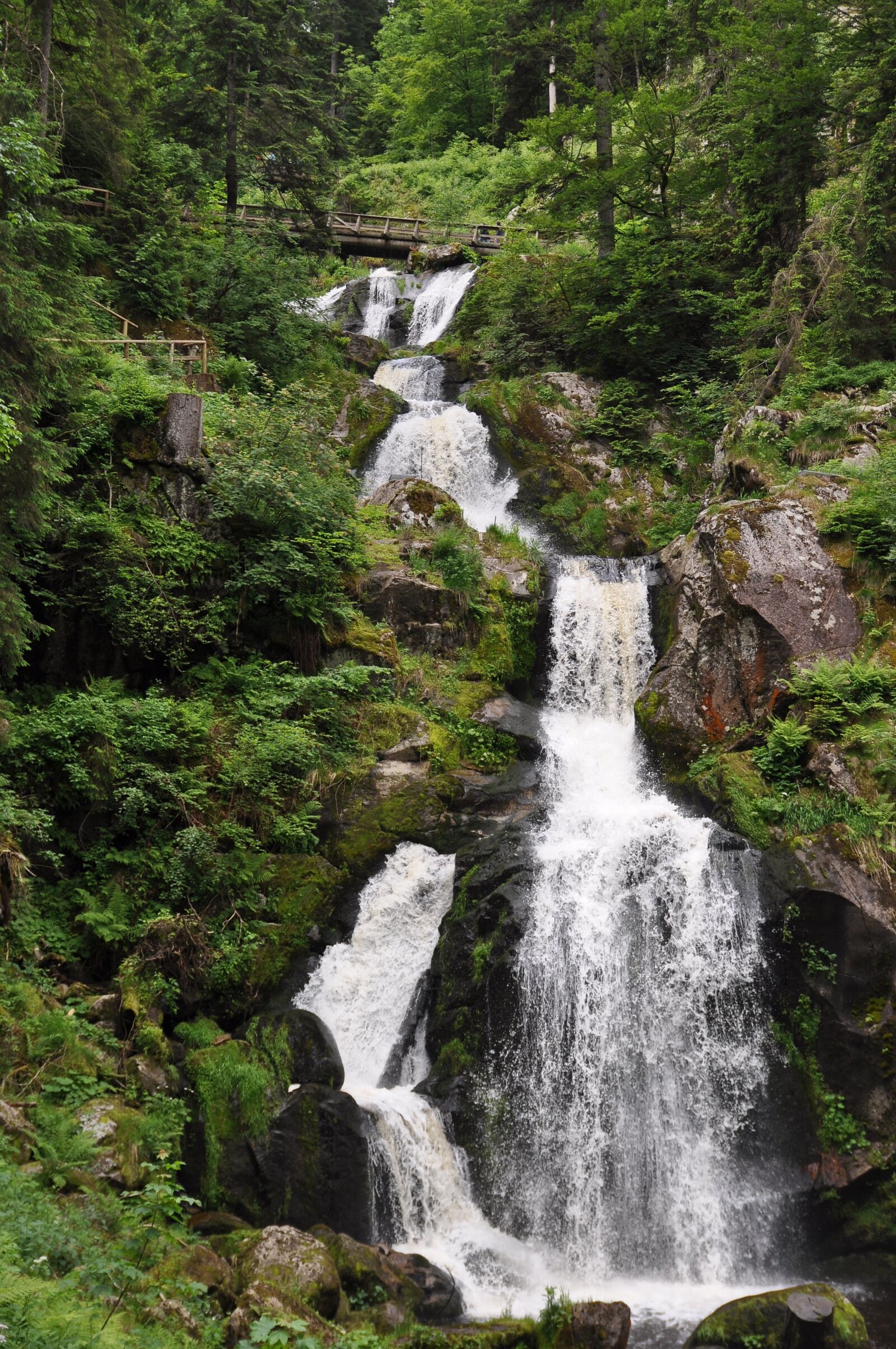 Nikon D90 sample photo. Waterfall, water, triberg photography