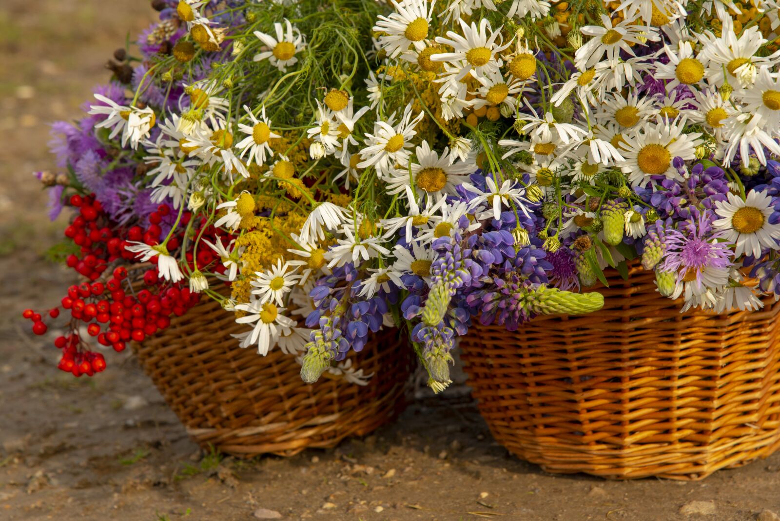 Nikon D750 sample photo. Flowers, basket, flora photography