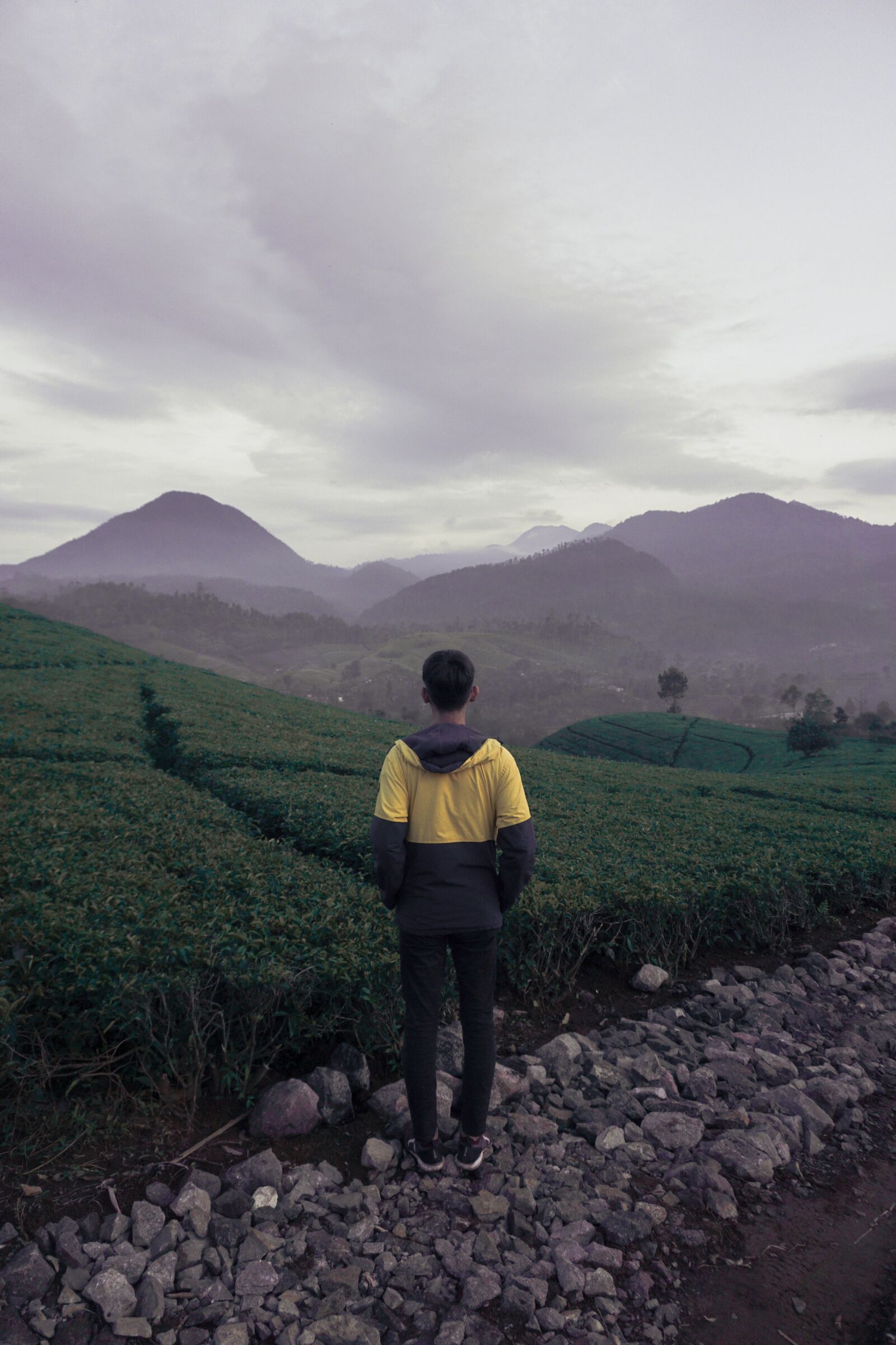 Sony a6000 sample photo. Sunset, sunrise, beautiful photography