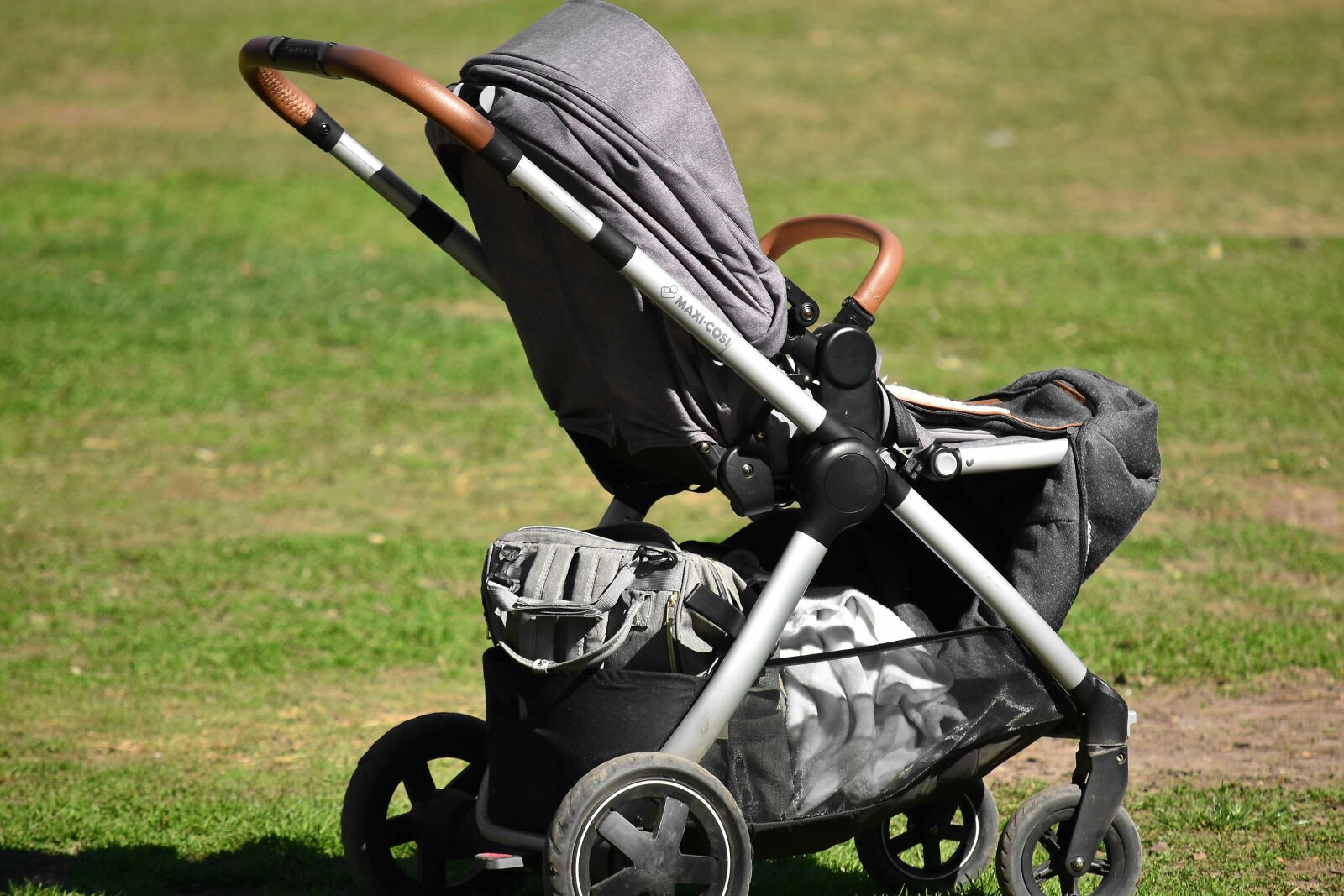 Nikon D5500 sample photo. Baby stroller, fair weather photography
