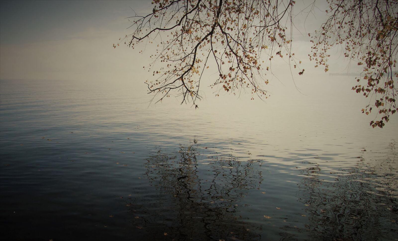 Canon EOS 80D sample photo. Autumn, dawn, lake photography