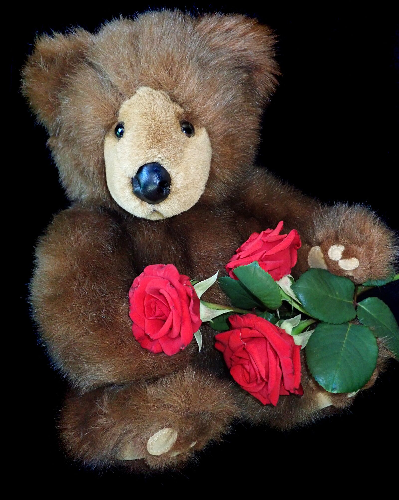 Olympus TG-5 sample photo. Teddy, bear, valentine photography