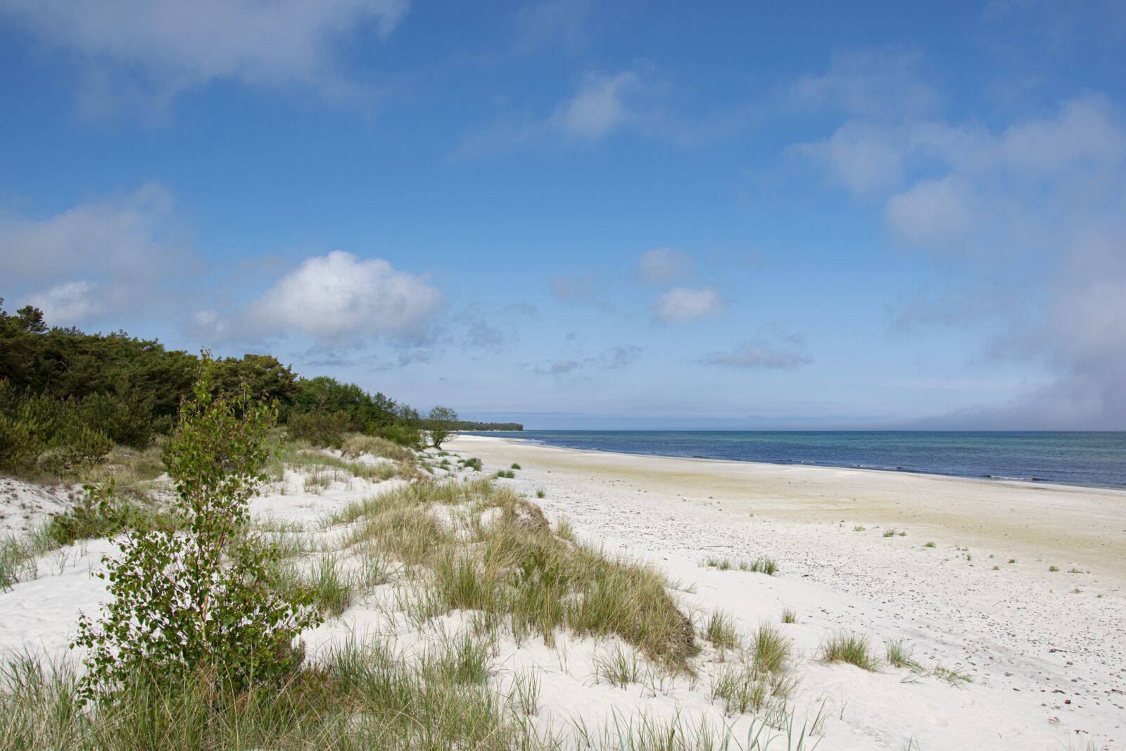Nikon D5300 sample photo. Beach, sand, vacations photography