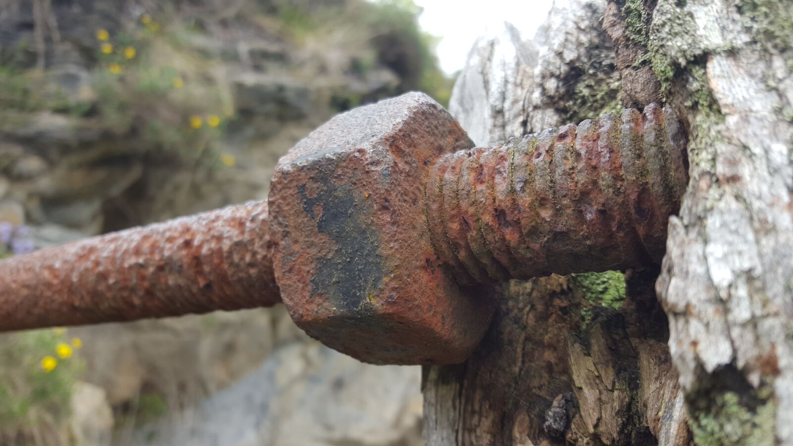 Samsung Galaxy S6 sample photo. Metal, construction, nature, nut photography