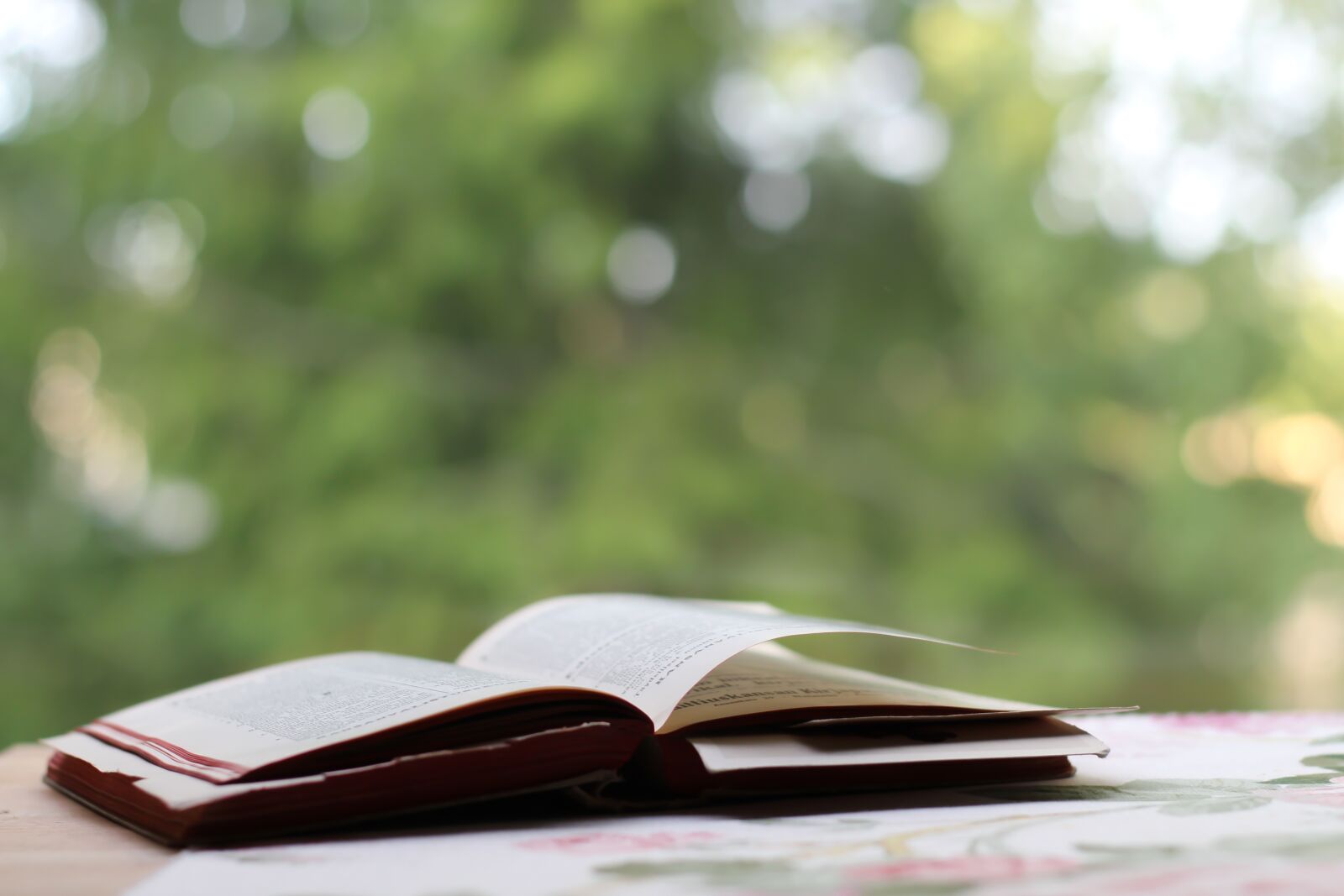Canon EOS 700D (EOS Rebel T5i / EOS Kiss X7i) sample photo. Book, table, open book photography