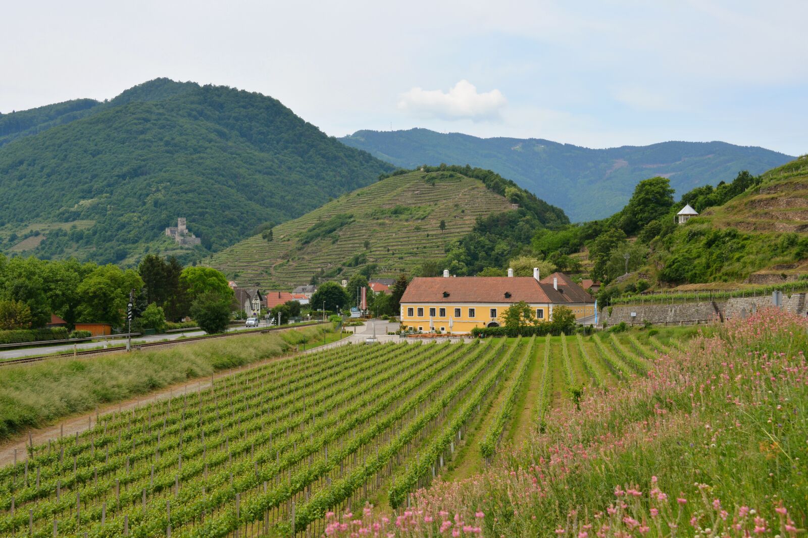 Nikon D7100 sample photo. Austria, wachau, pointed photography