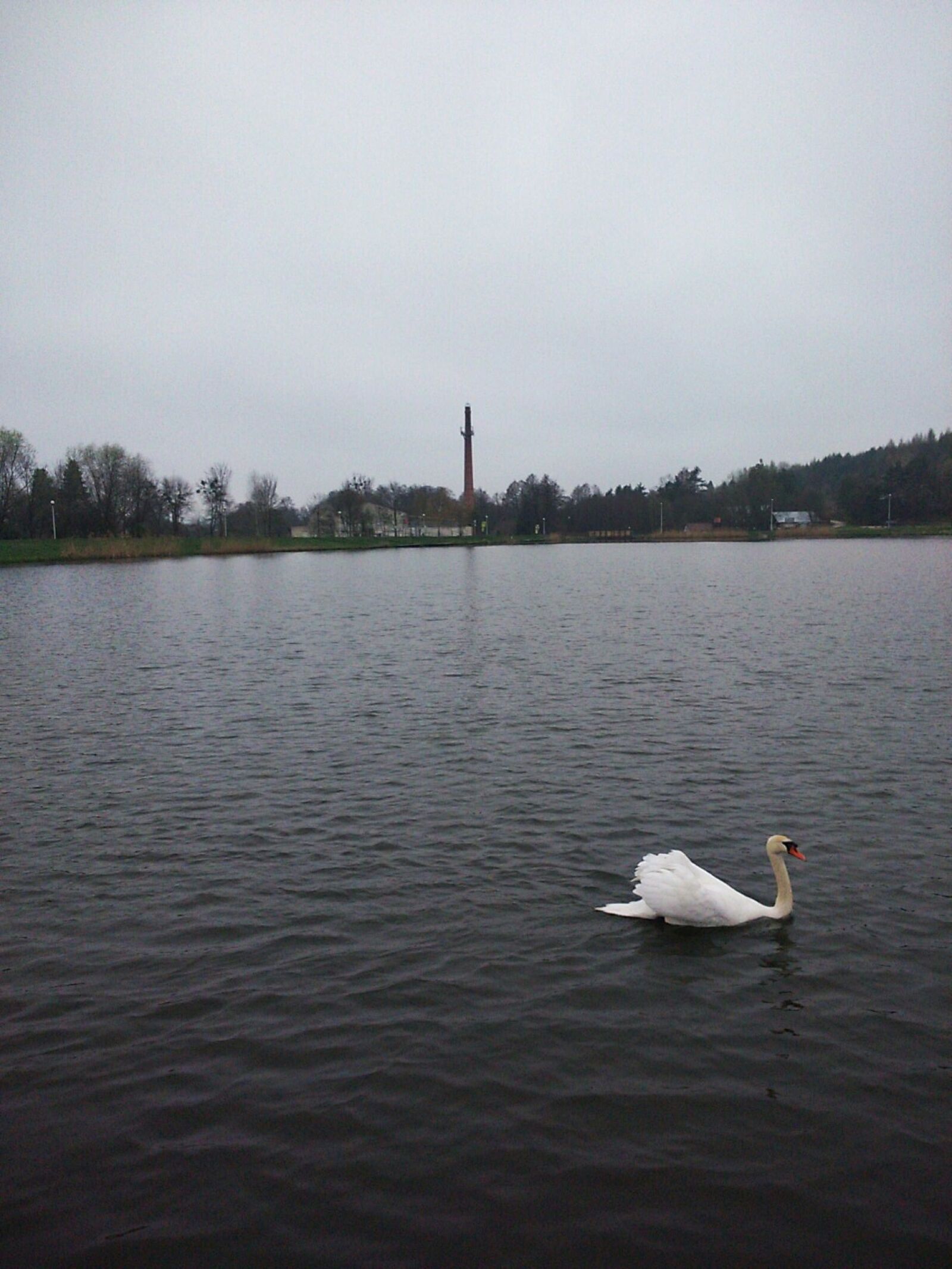 Sony Xperia M2 sample photo. Farfaraway, mobile, sony, wasylko photography