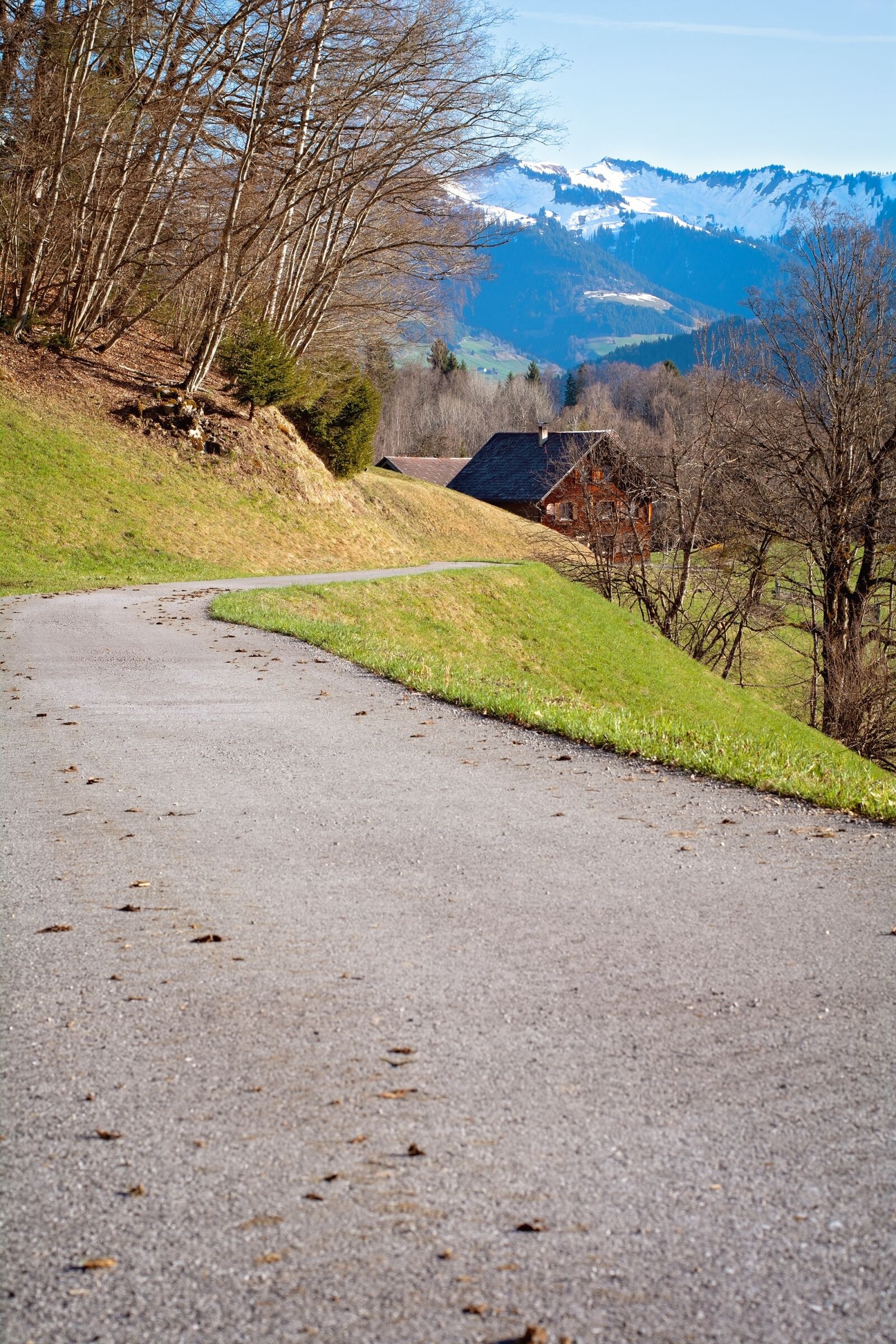 Nikon D7100 sample photo. Road, nature, landscape photography