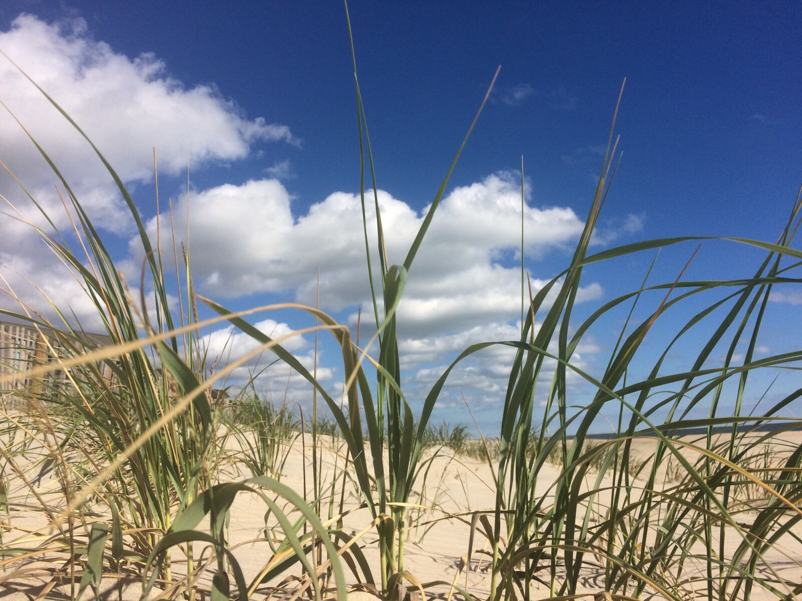 iPhone 5s back camera 4.15mm f/2.2 sample photo. Beach, beachlife photography