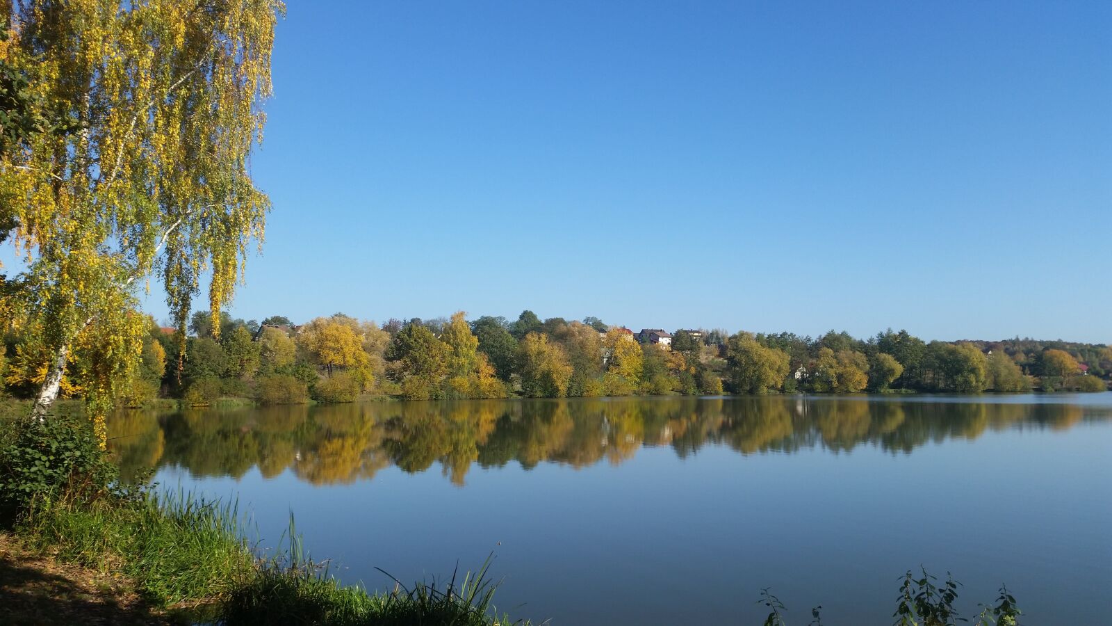 Samsung Galaxy S5 sample photo. Autumn, lake, birch photography