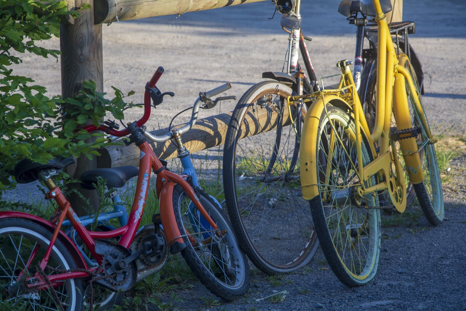 Nikon D7100 sample photo. Bike, bicycles, old photography
