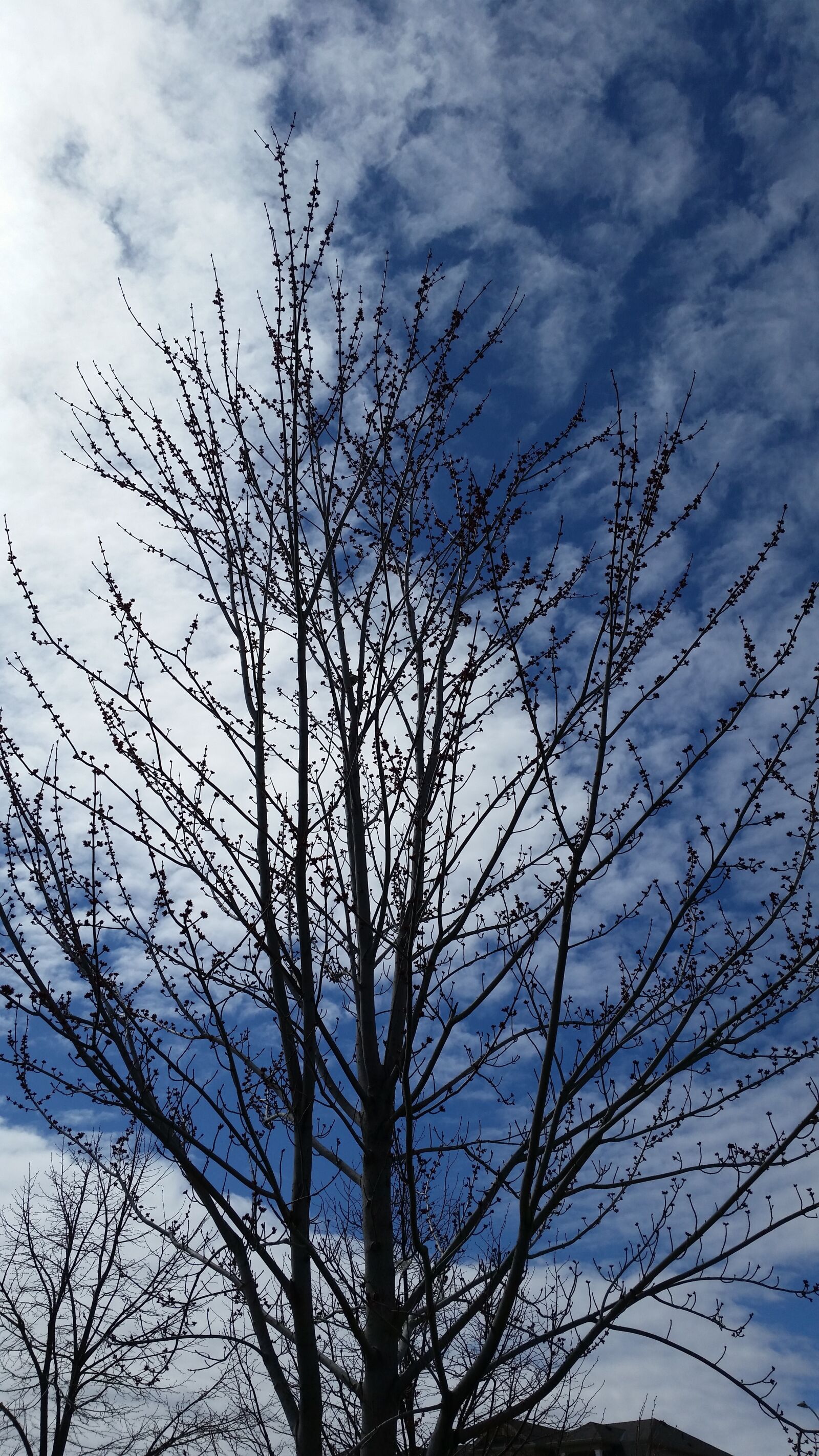 Samsung Galaxy S5 sample photo. Clouds, sky, nature photography