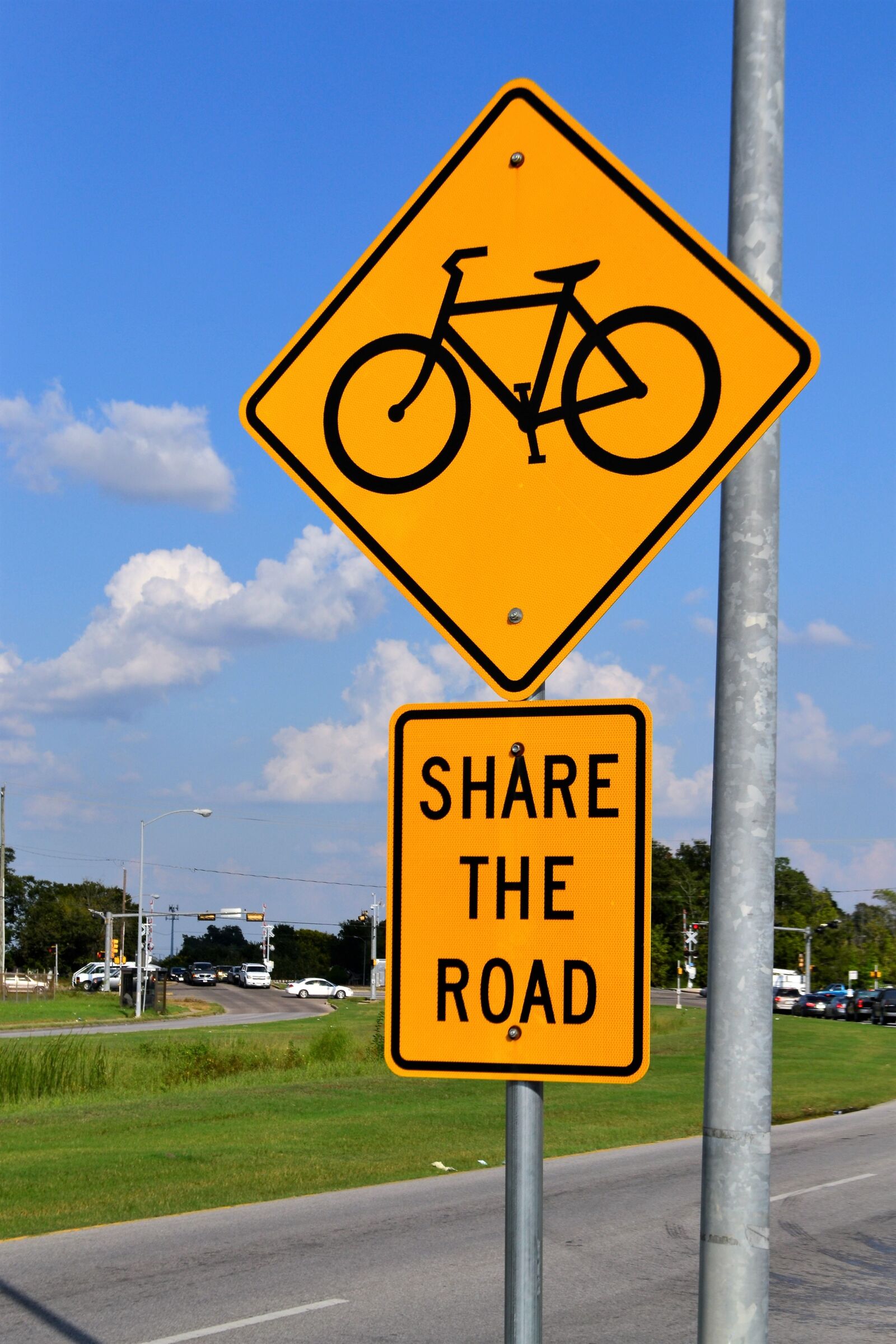 Nikon D3100 sample photo. Bike lane sign, share photography