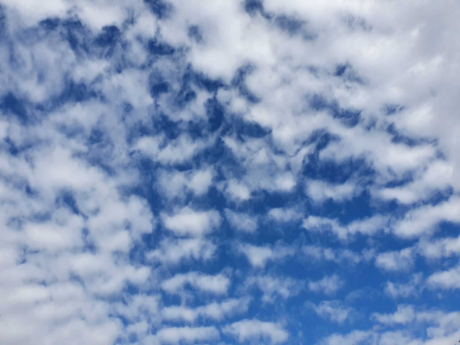 Samsung Galaxy S10 sample photo. Sky, cloud, nature photography