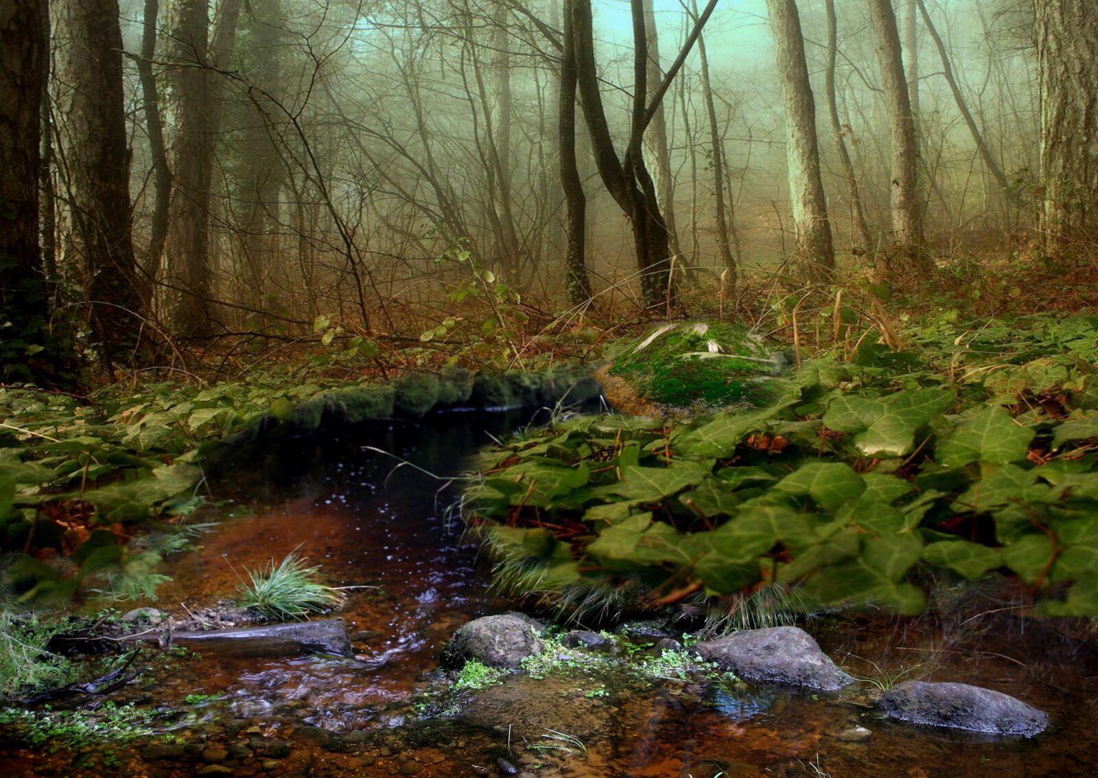Canon EOS 6D sample photo. Nature, tree, mosses photography