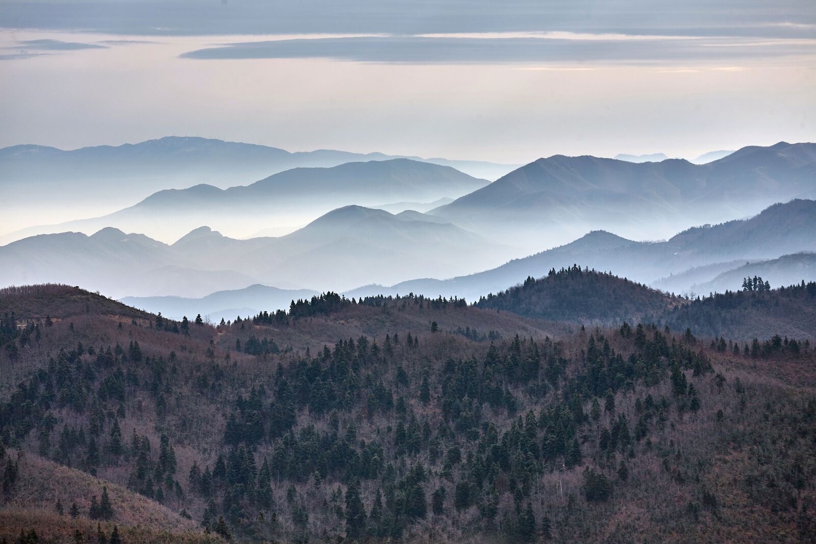 Canon EOS 5D sample photo. Nature, fog, mountain photography