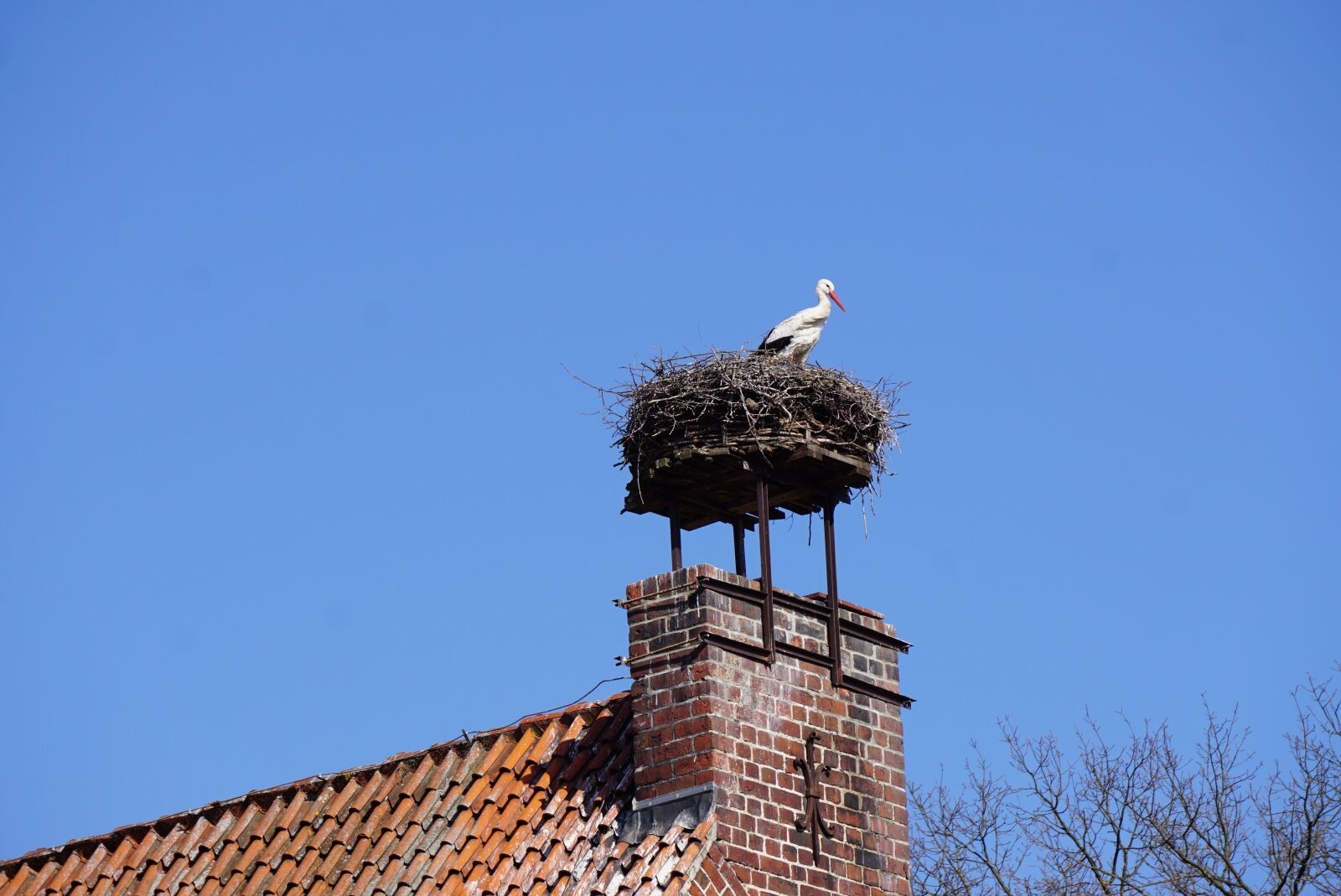 Sony E 55-210mm F4.5-6.3 OSS sample photo. Stork, nest, bird photography