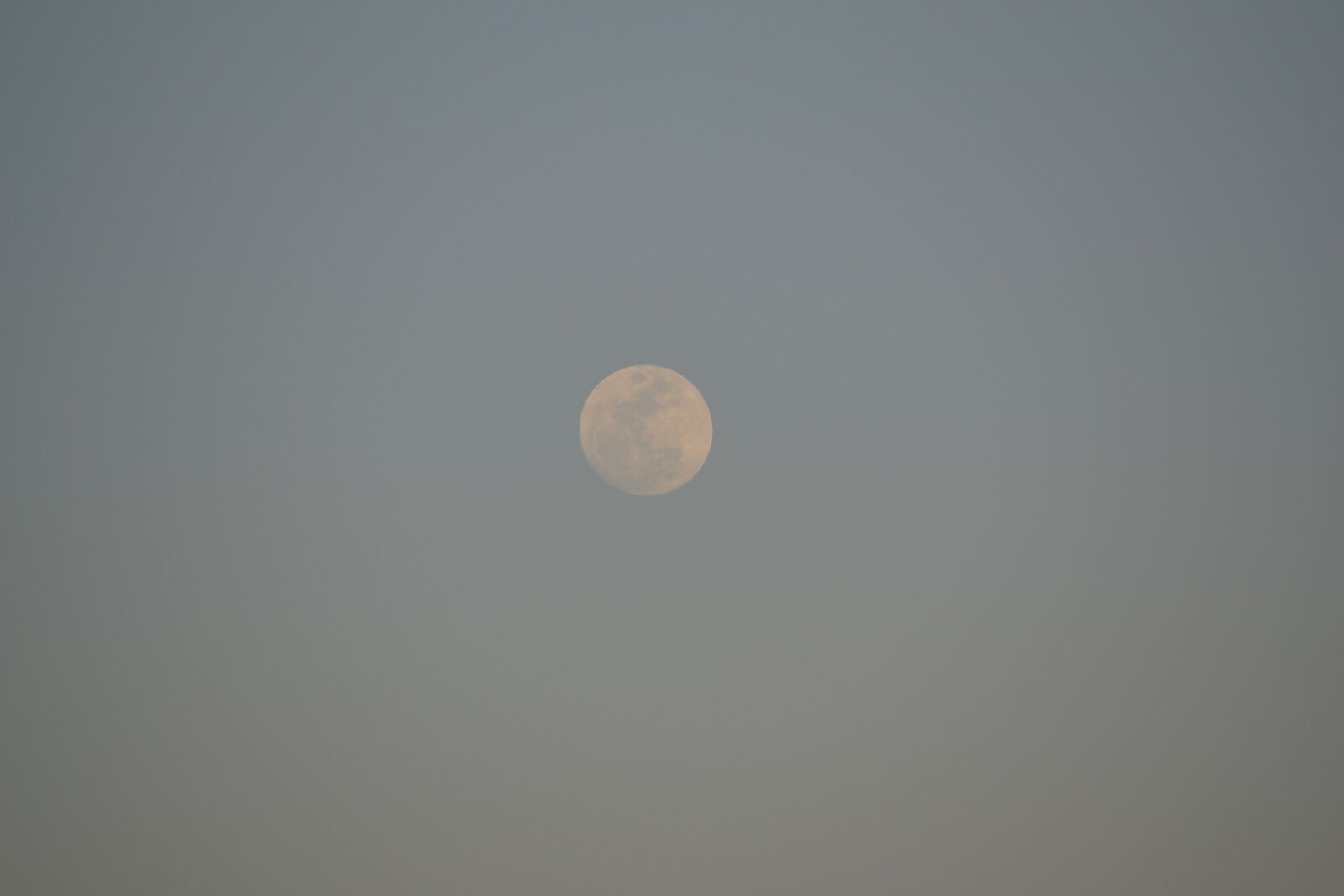 Nikon D3100 sample photo. Moon, night photography