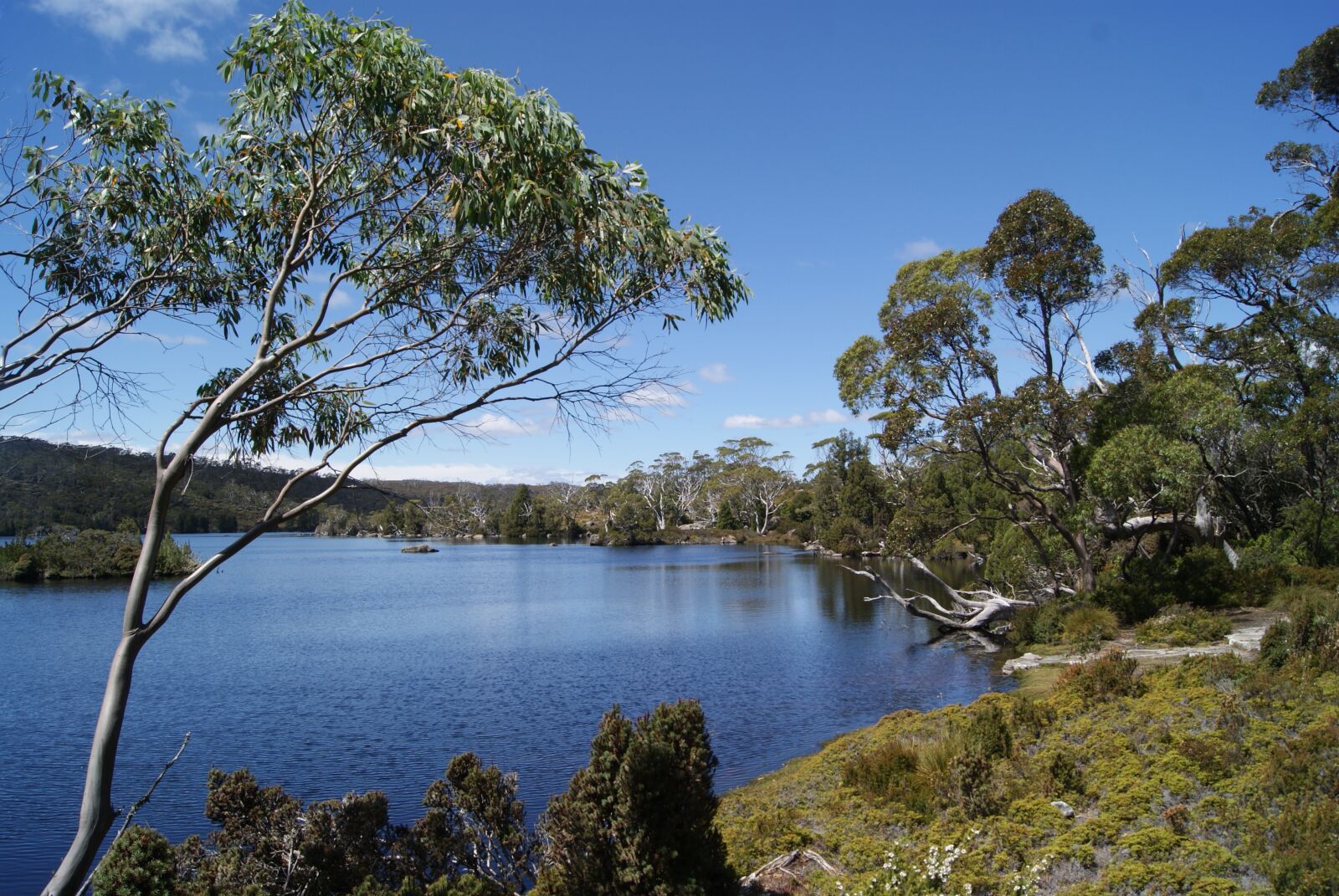 Sony Alpha DSLR-A230 sample photo. Lake, nature, tasmania photography