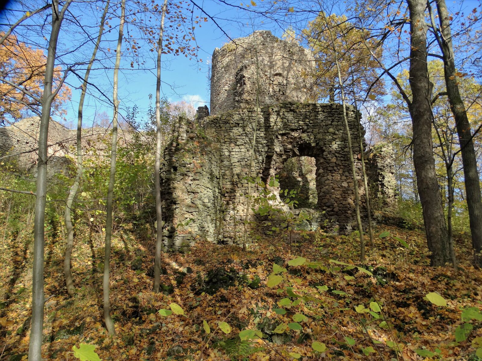 Sony Cyber-shot DSC-HX300 sample photo. Castle, the ruins of photography