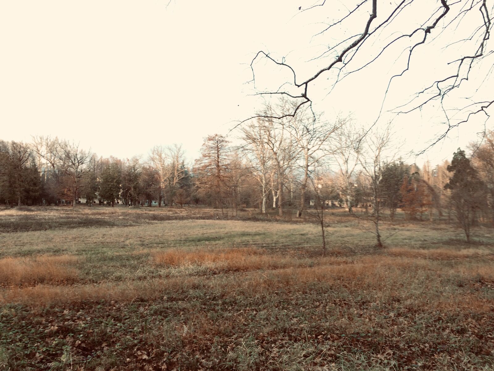 iPhone 5s back camera 4.15mm f/2.2 sample photo. Park, georgia, the picturesque photography