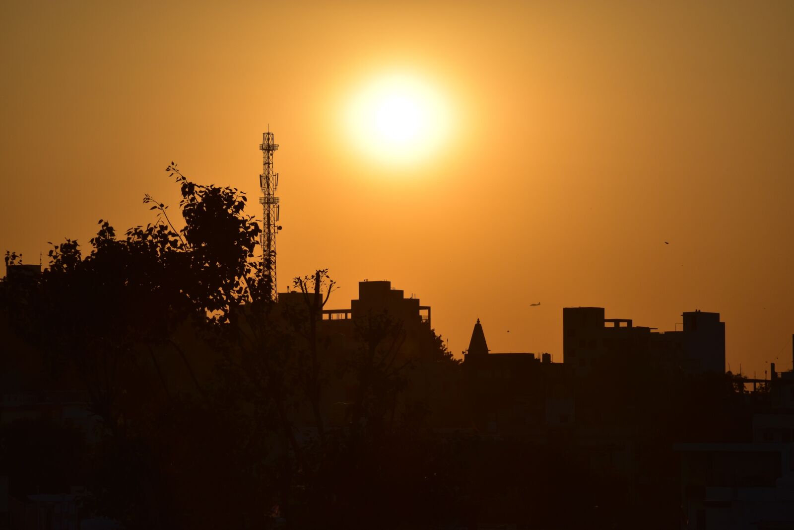 Nikon D5600 sample photo. Nature, city sunset, india photography