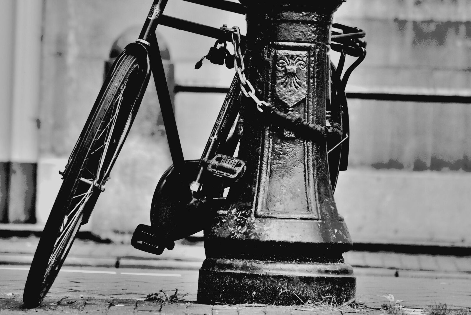 Nikon D3000 sample photo. People, vehicle, adult photography