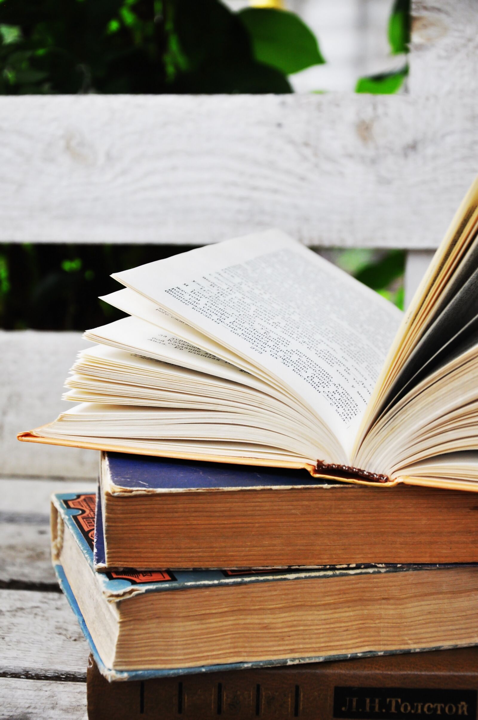Nikon D5000 sample photo. Book, books, read photography