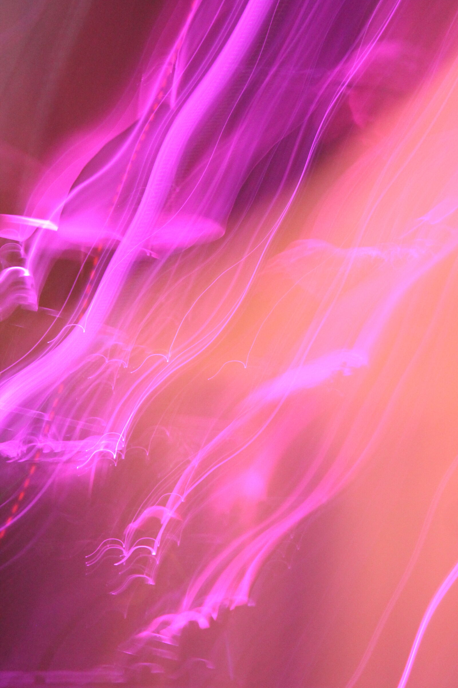 Canon EOS 1100D (EOS Rebel T3 / EOS Kiss X50) sample photo. Abstract, lens, flare, light photography