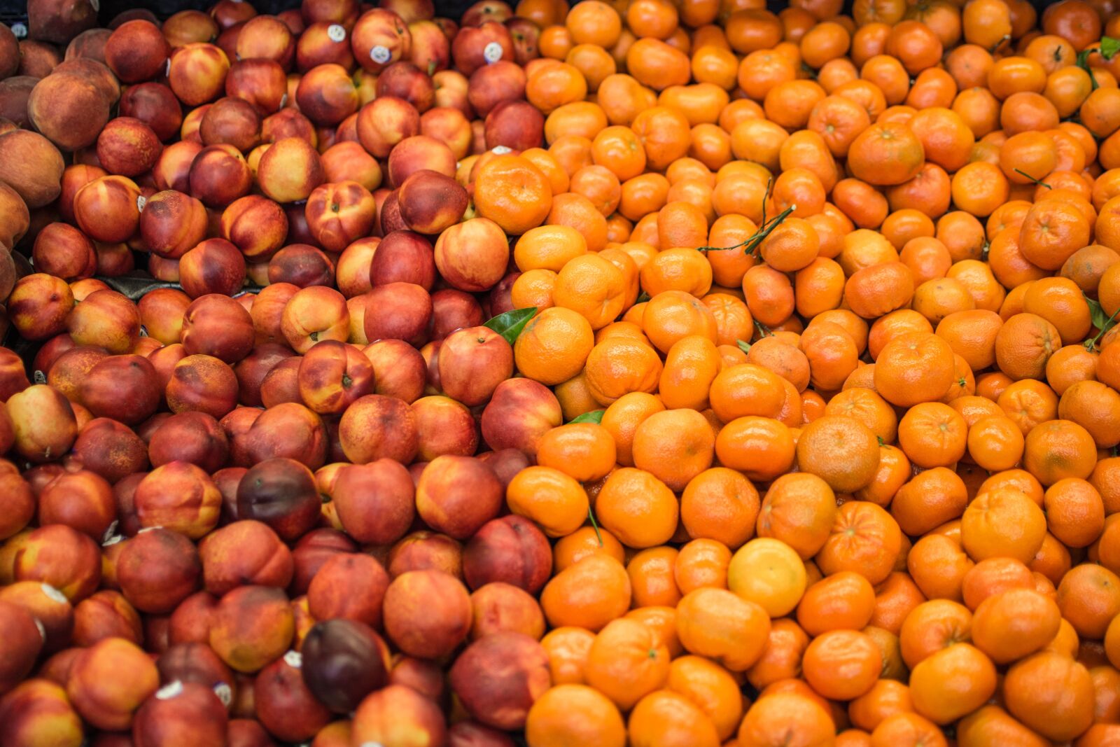 Nikon D7200 sample photo. Fruit, food, healthy photography