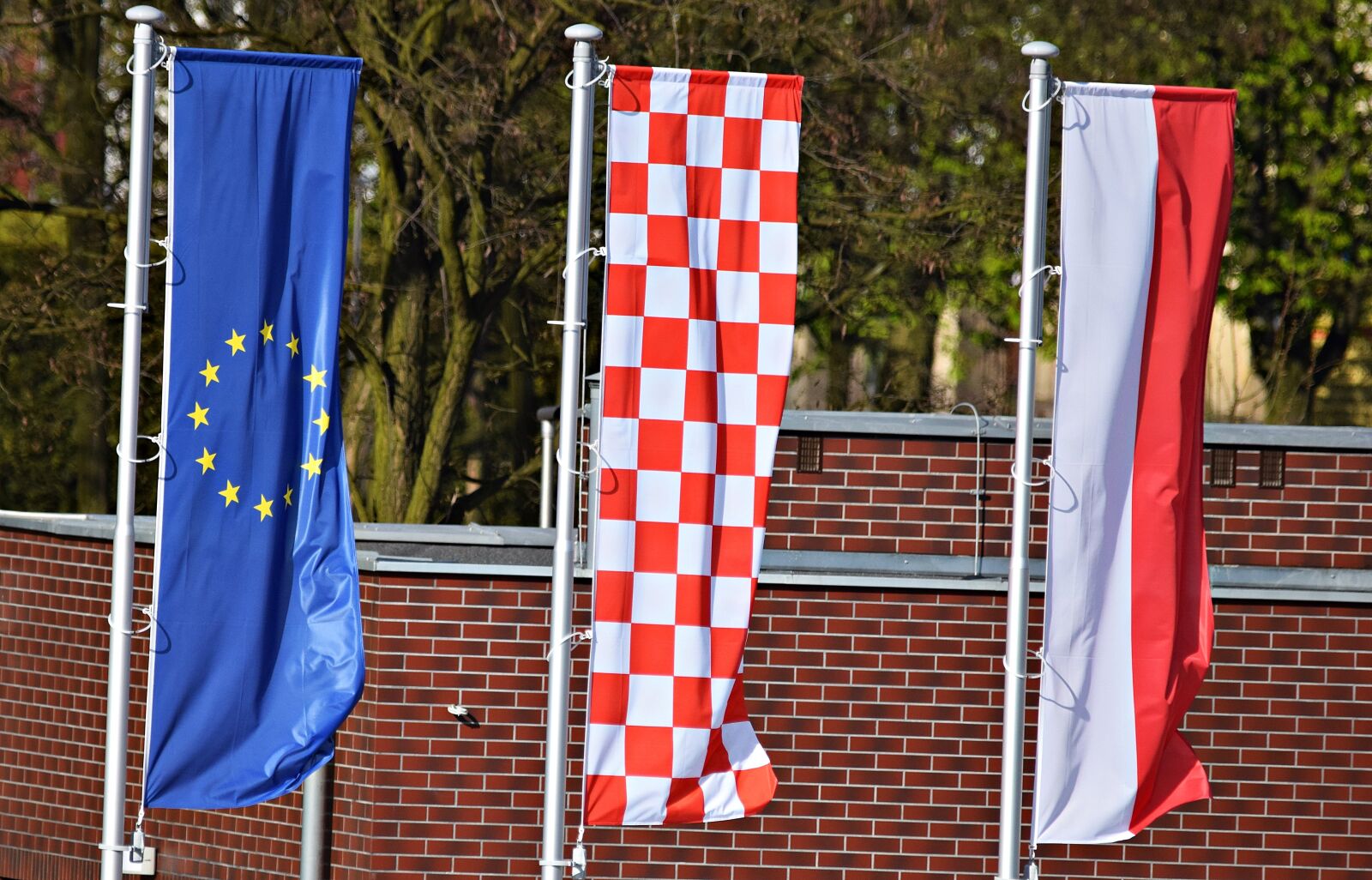 Nikon D5300 sample photo. Flag, the union, european photography