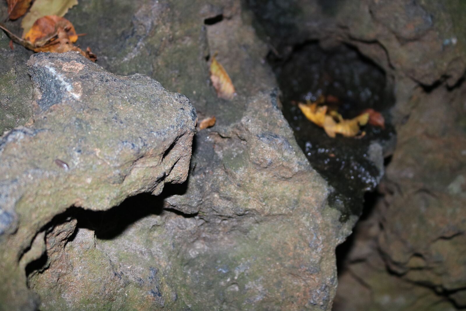 Canon EOS 750D (EOS Rebel T6i / EOS Kiss X8i) sample photo. Stone, earth, sandy photography