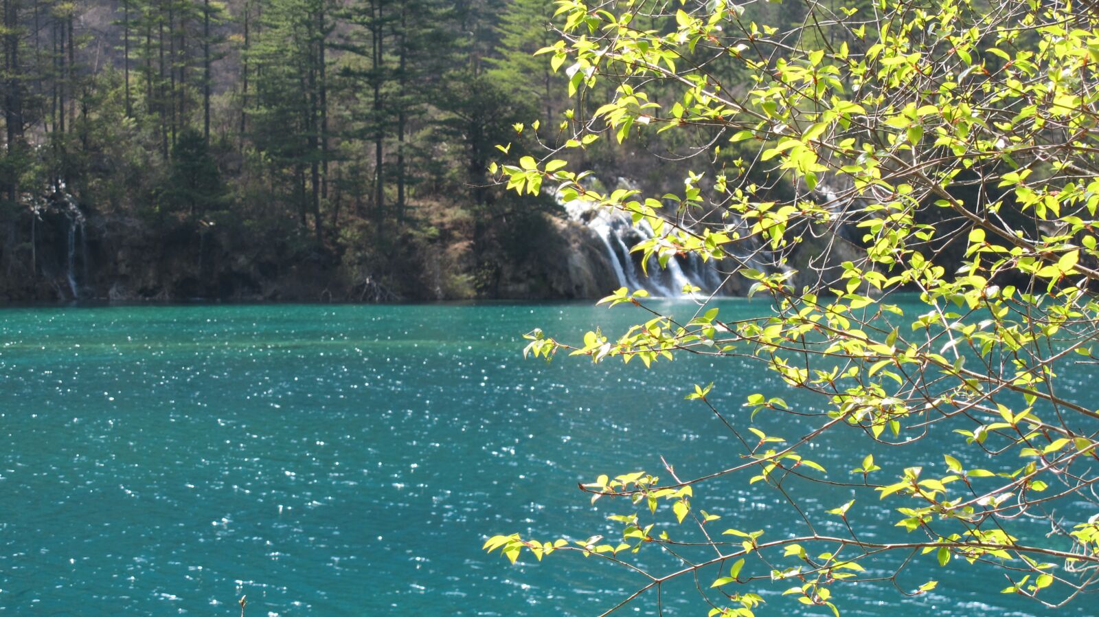 Canon PowerShot G12 sample photo. Save, spring, jiuzhaigou photography