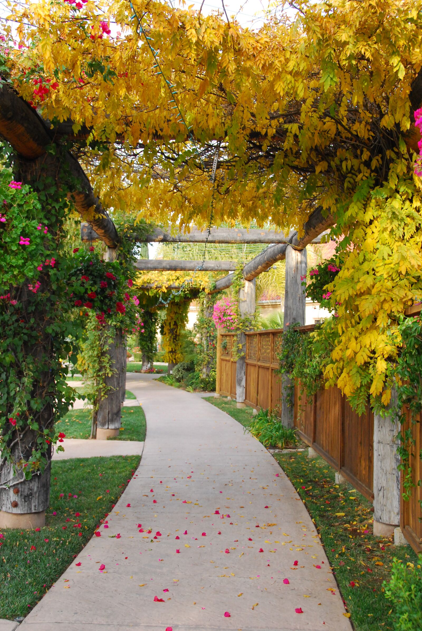Nikon D60 sample photo. Walkway, path, structure photography
