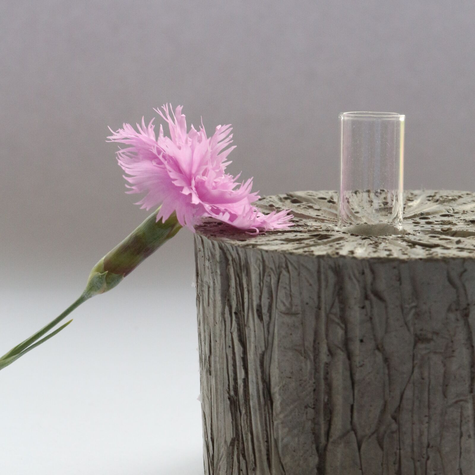 Canon EOS 700D (EOS Rebel T5i / EOS Kiss X7i) sample photo. Flower, pink, concrete photography
