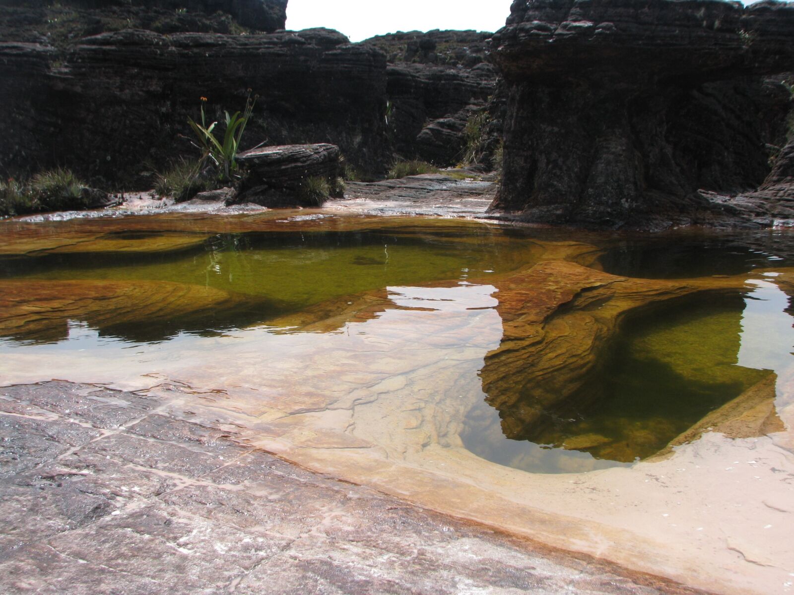 Canon POWERSHOT S5 IS sample photo. Reflection, water, nature photography