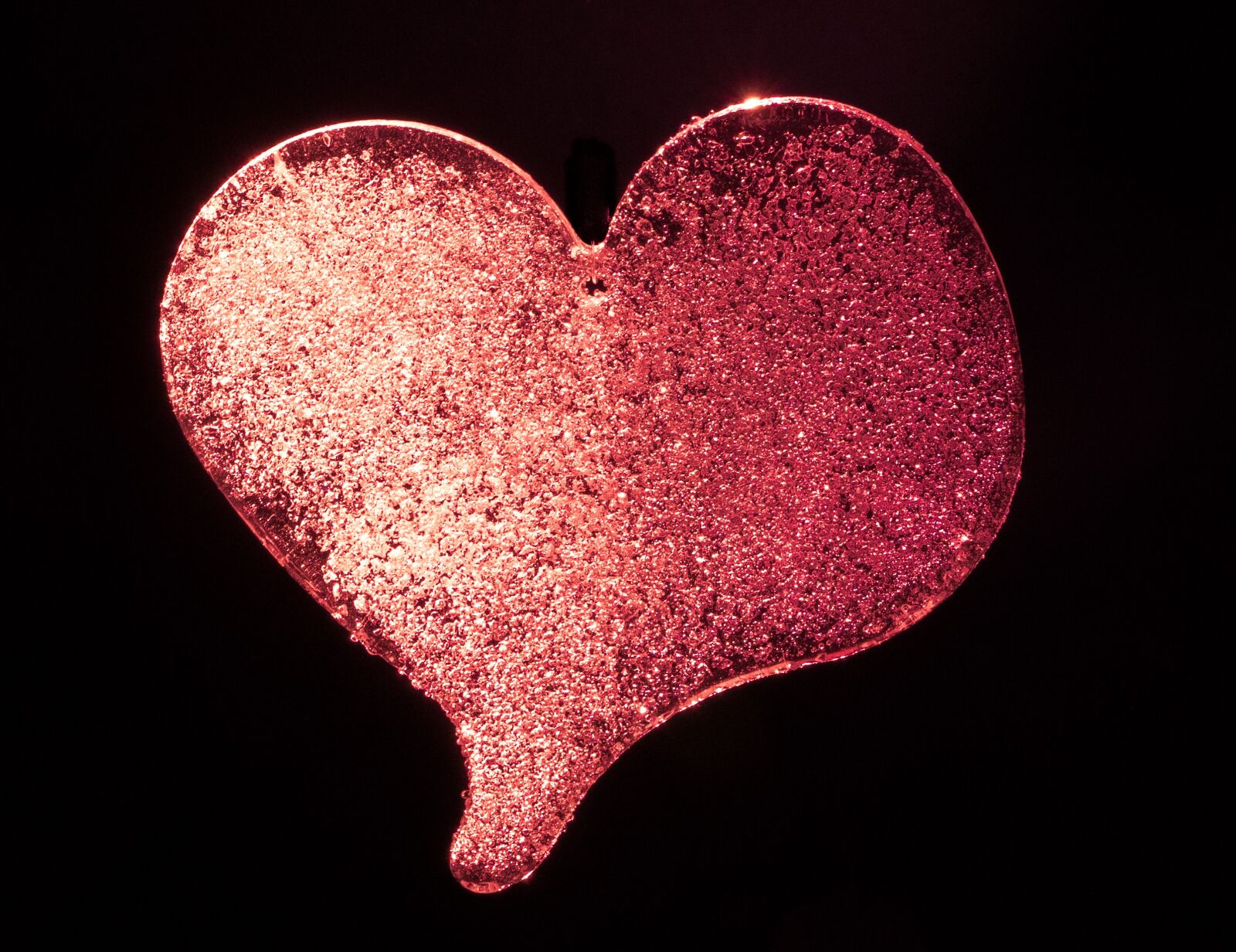 Sony ILCA-77M2 sample photo. Heart, red photography