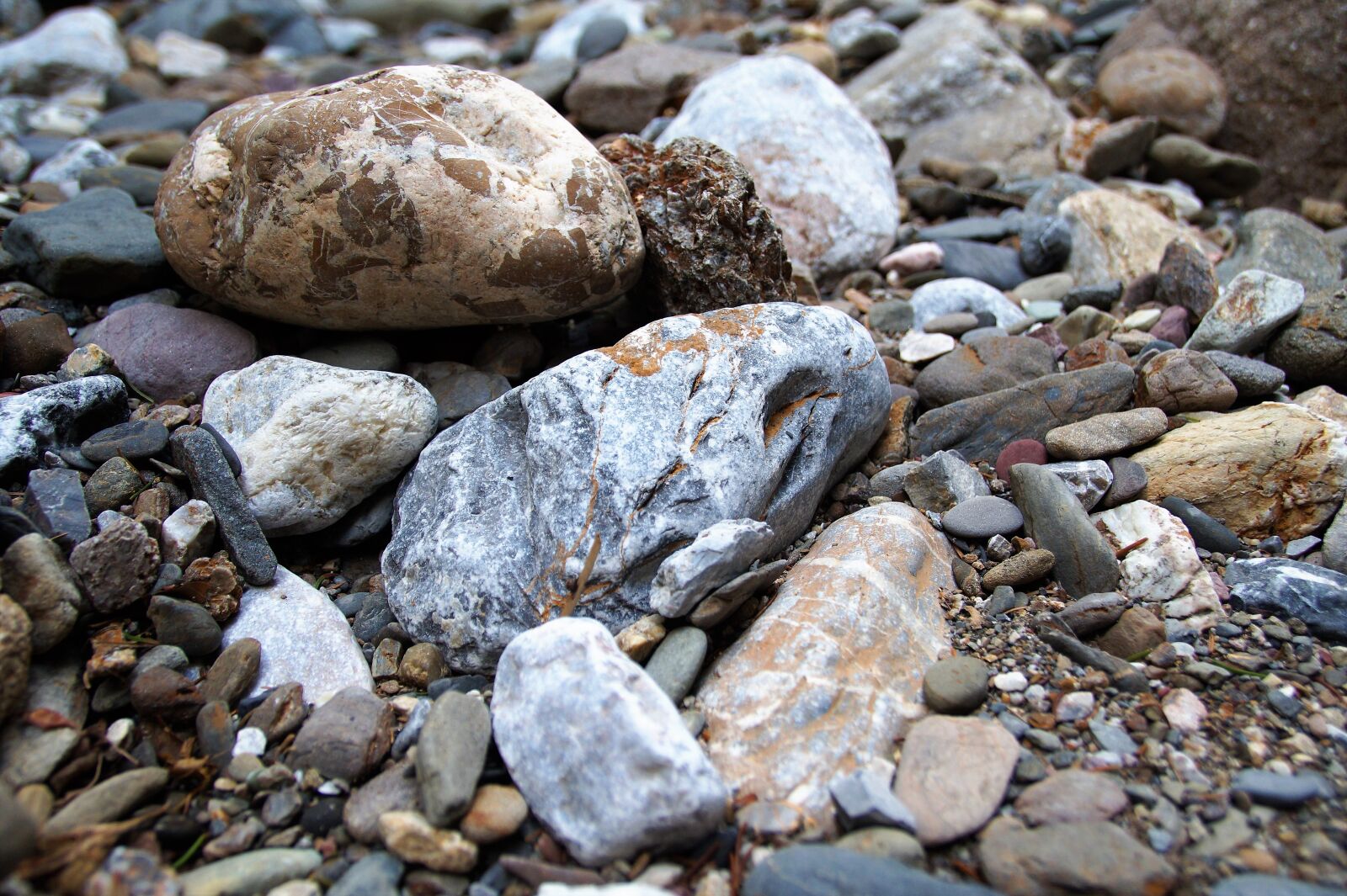 Sony SLT-A58 sample photo. Stones, pebbles, river photography